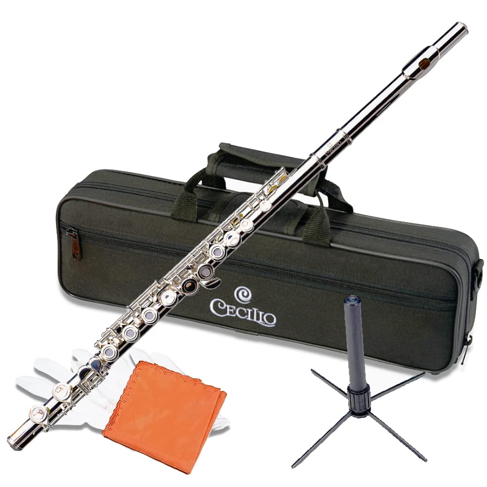 Cecilio Closed Hole C Flute - Musical Instrument, Kids Beginner/Intermediate Flute In Band & Orchestra, Nickel
