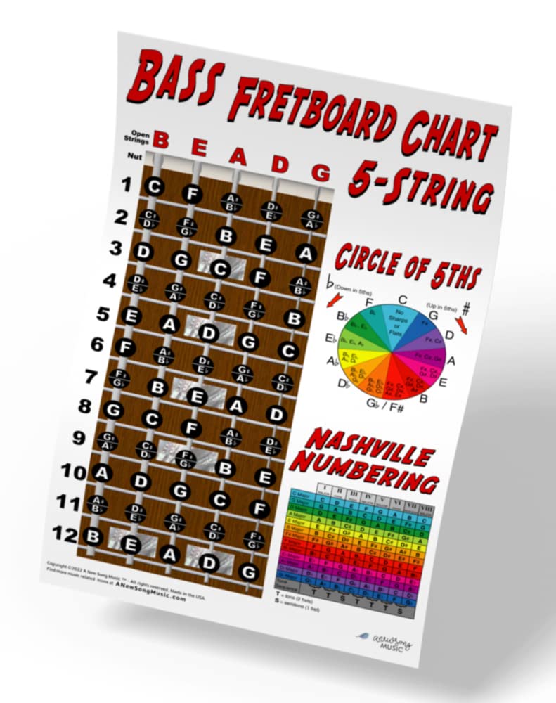 A New Song Music 5 String Bass Fretboard Poster - Nashville Numbering System, Circle Of 5Ths, Notes Instructional Chart 11X17