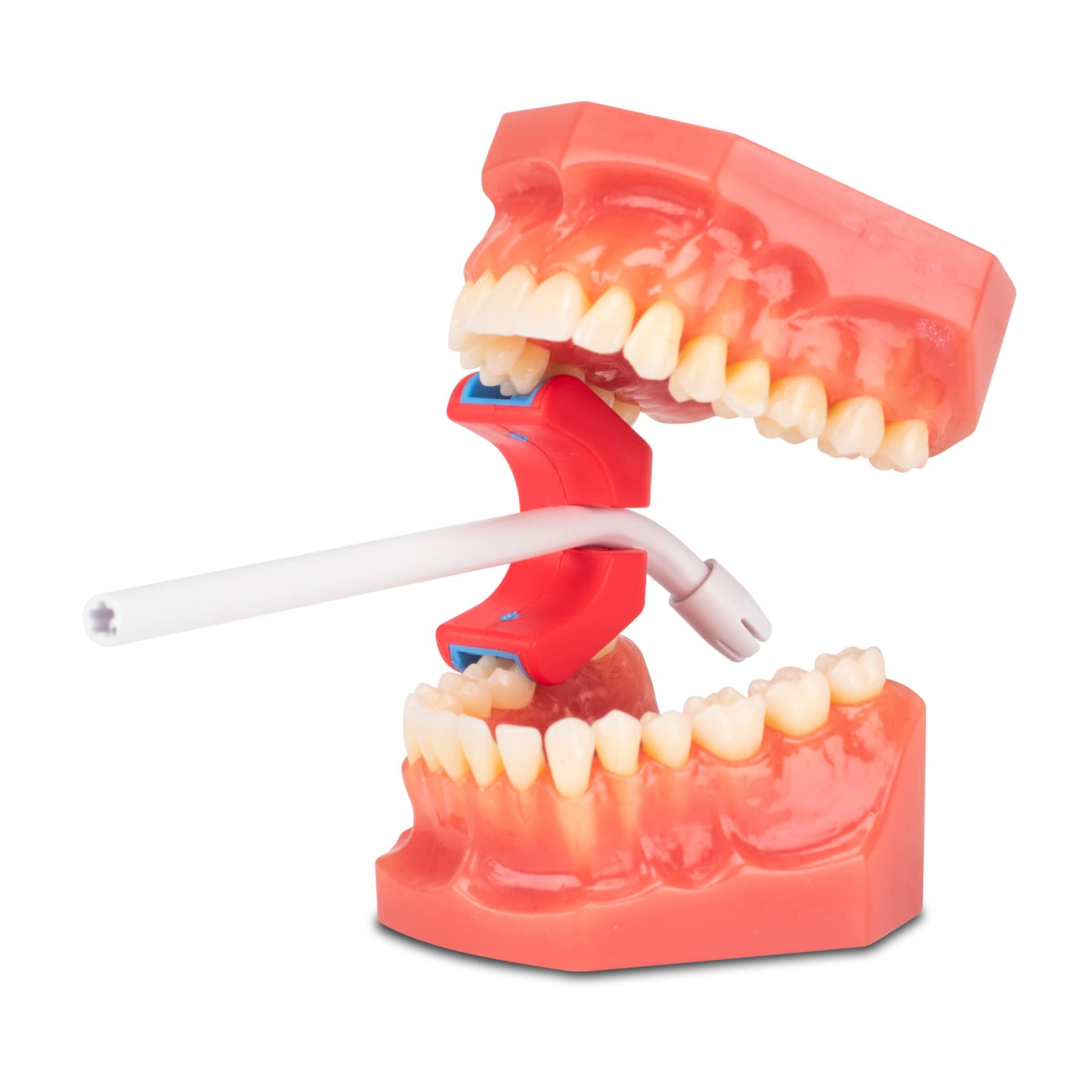 Practicon E-Prop Dental Mouth Prop, Autoclavable Bite Block, Holds Saliva Ejector Mouth Prop, Size Large, 1 Pack