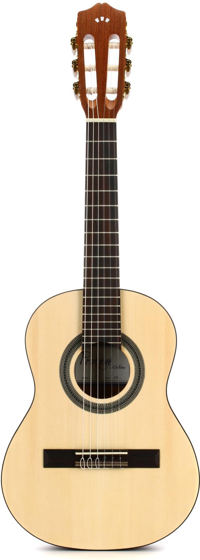 Cordoba C1M 1/4 Small Body Acoustic Nylon String Guitar, Prot  G   Series