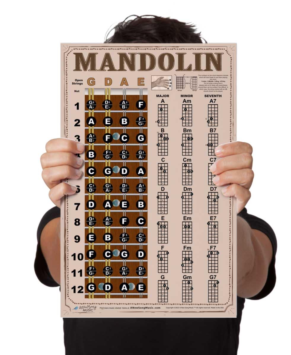 Laminated Mandolin Americana Style Easy Chord & Fretboard Note Chart Instructional Poster for Beginners Chords & Notes A New Son