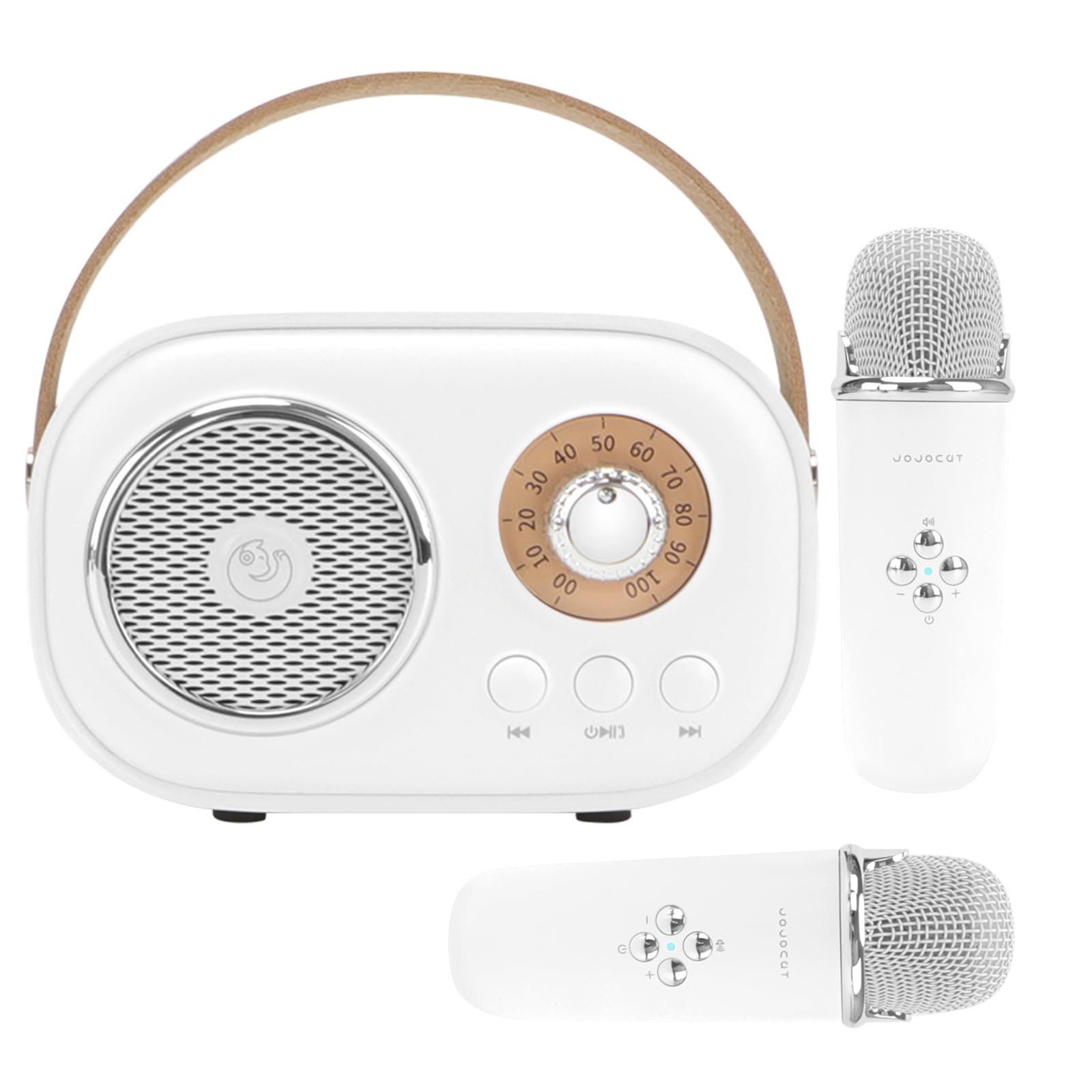 Aresrora Mini Karaoke Machine for Kids,Portable Bluetooth Speaker with 2 Wireless Microphone,Toys for Girls Boys Gifts,Retro Spe