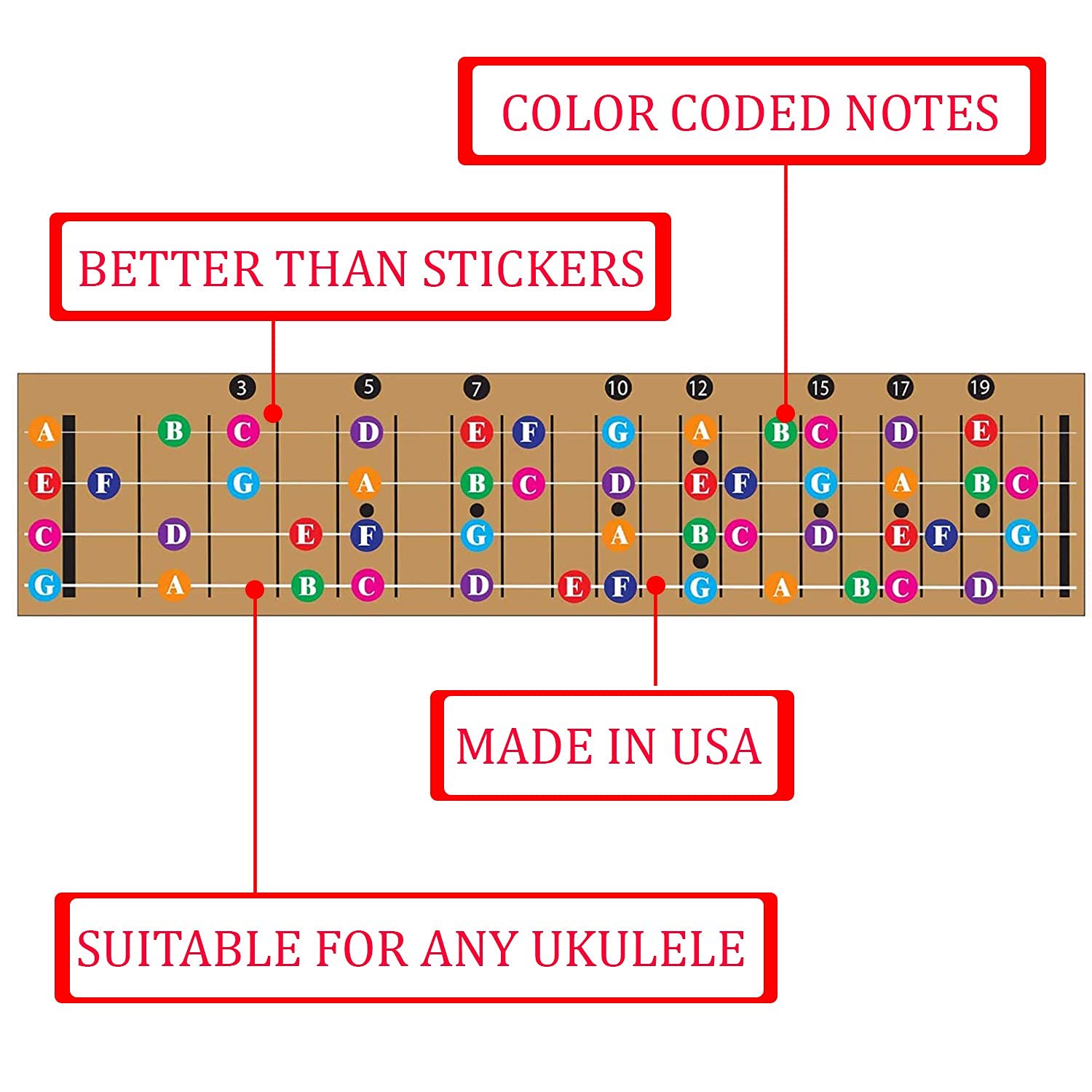 QMG Color Coded Ukulele Guitar Fretboard Note Chart Learn to Play Guitar and Music Theory, Suitable for all Levels, Made in USA