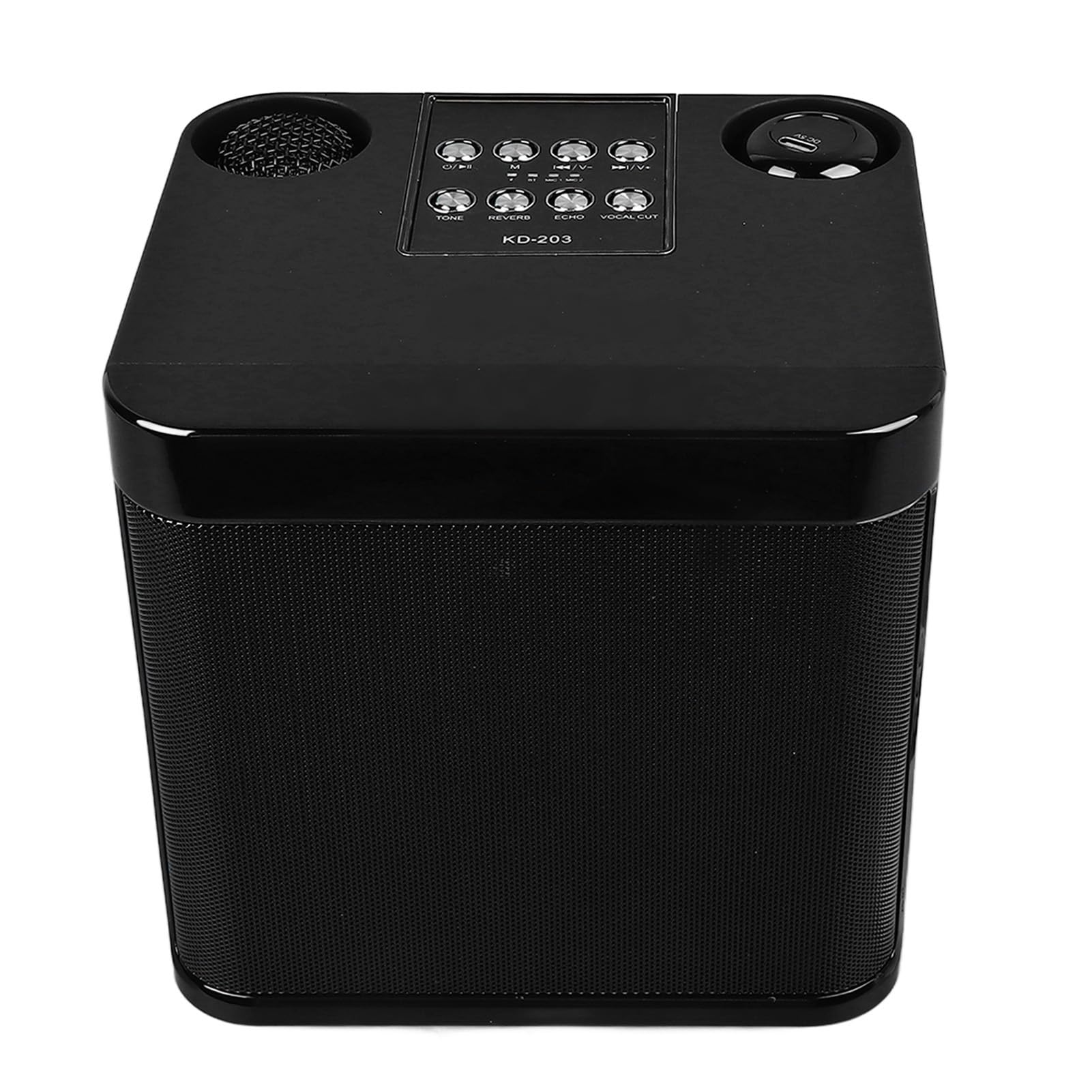 Karaoke Speakers, Portable Karaoke Machine BT Speaker with 2 Microphones, Powerful Subwoofer, for Home Party Camping Meeting