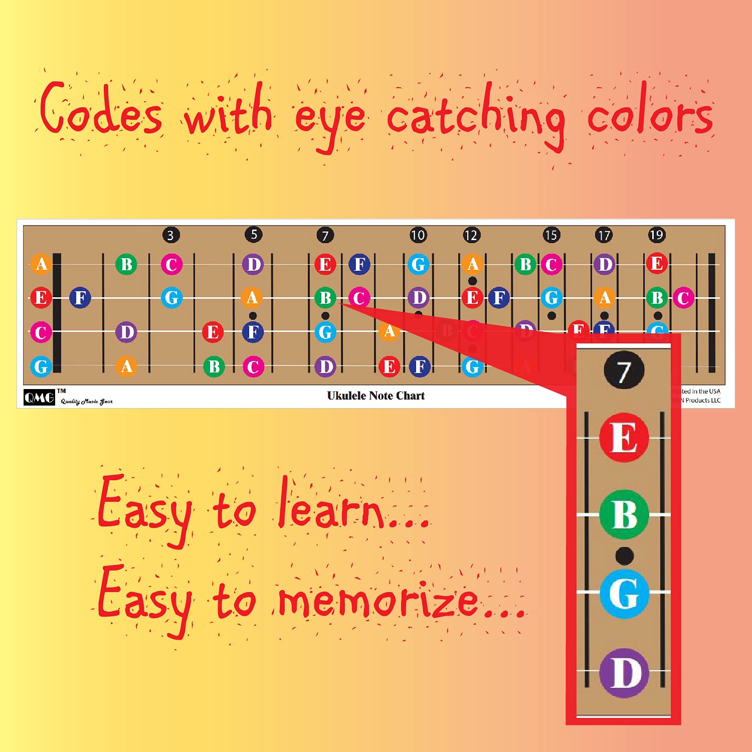 QMG Color Coded Ukulele Guitar Fretboard Note Chart Learn to Play Guitar and Music Theory, Suitable for all Levels, Made in USA