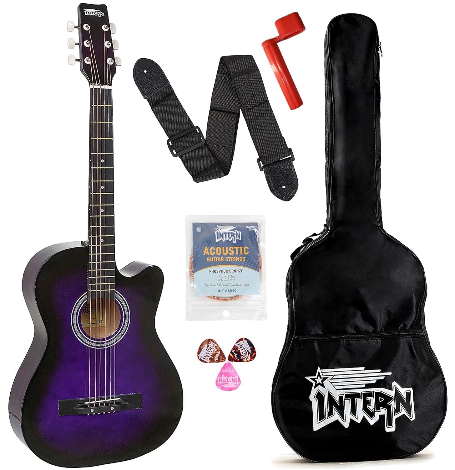 Intern INT-38C Acoustic Guitar Kit (Purple)