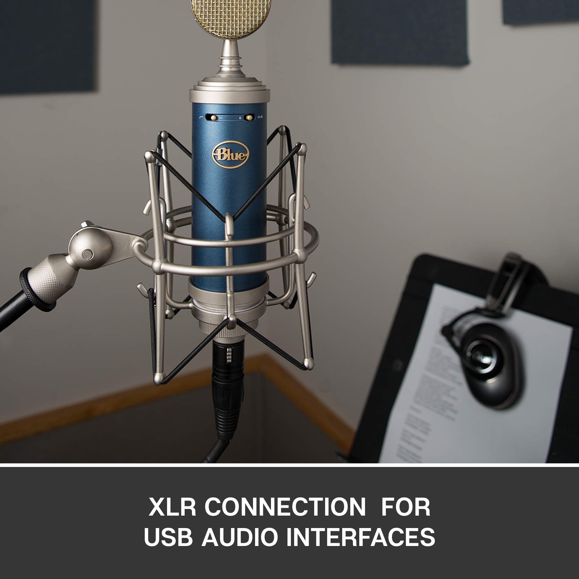 Blue Microphone Bluebird SL XLRCardioid Condenser Microphone for Recording, Streaming, Podcasting, Gaming, Mic with Large Diaphr