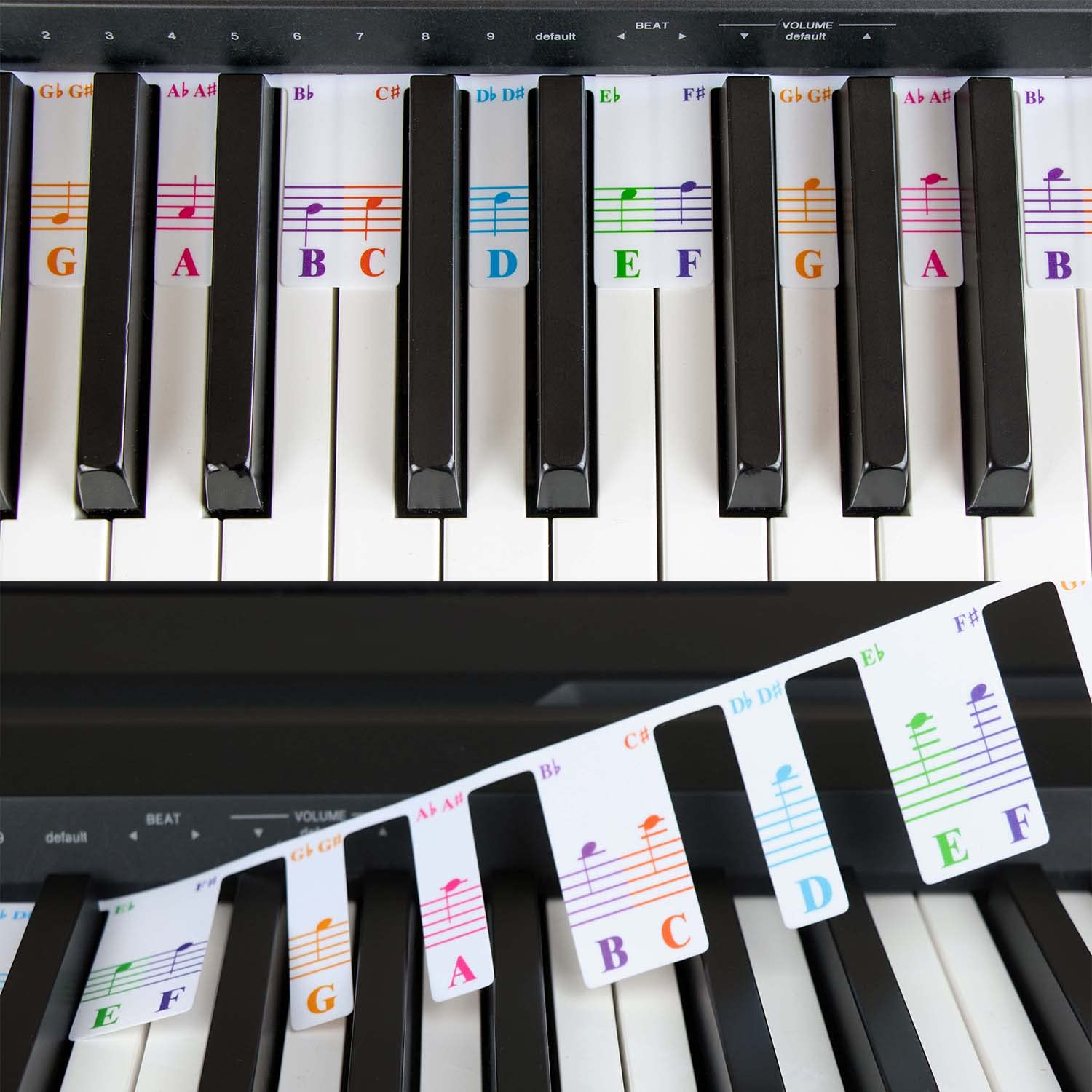 Colorful Piano Keyboard Notes for Beginner, Removable Note Labels for Learning, 88 Key Full Size Piano Rake Key, Reusable, No Ne