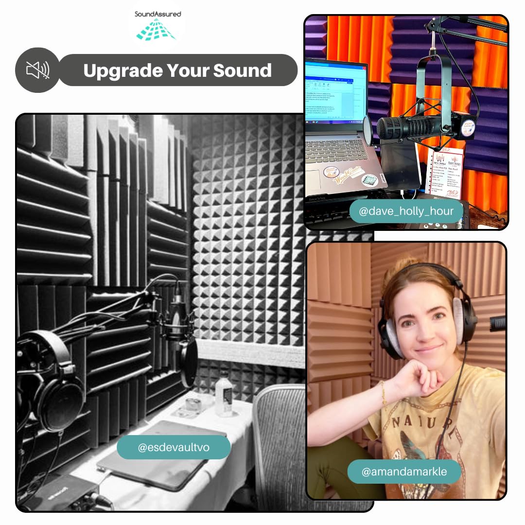 Professional Acoustic Foam Panels - Wedge Style 12x12x2    Tiles - 4 Pack - Studio Foam for Sound Dampening - Soundproofing Foam