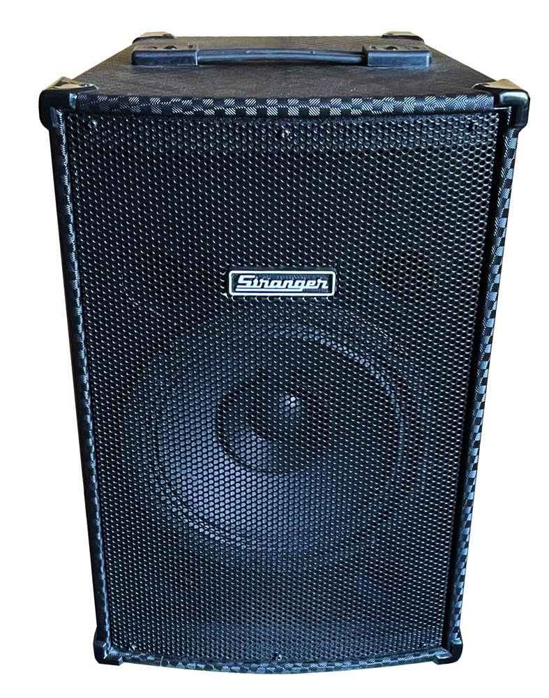 Stranger Pm25 (Vocal, Guitar & Mp3 Player With Cordless Microphone)