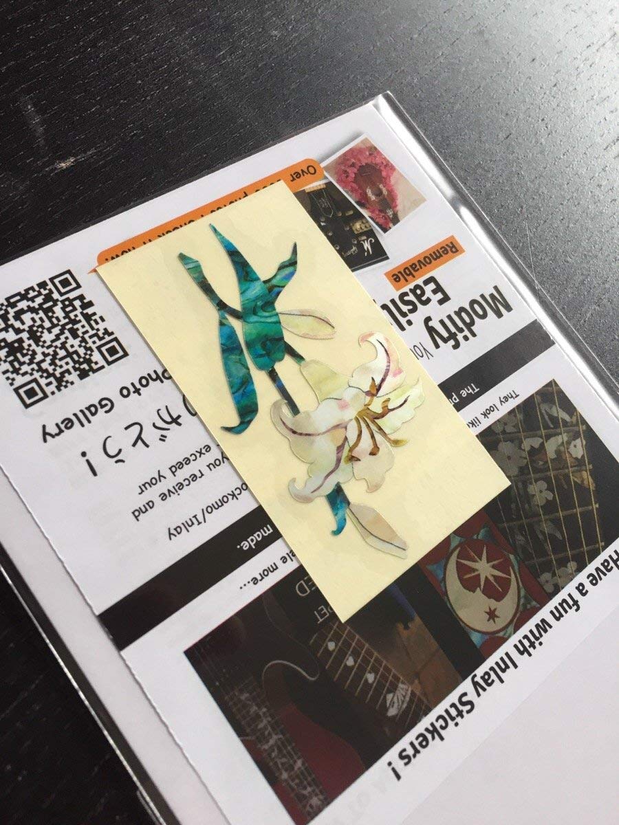 Inlaystickers Sticker/Decal (H-123LY)