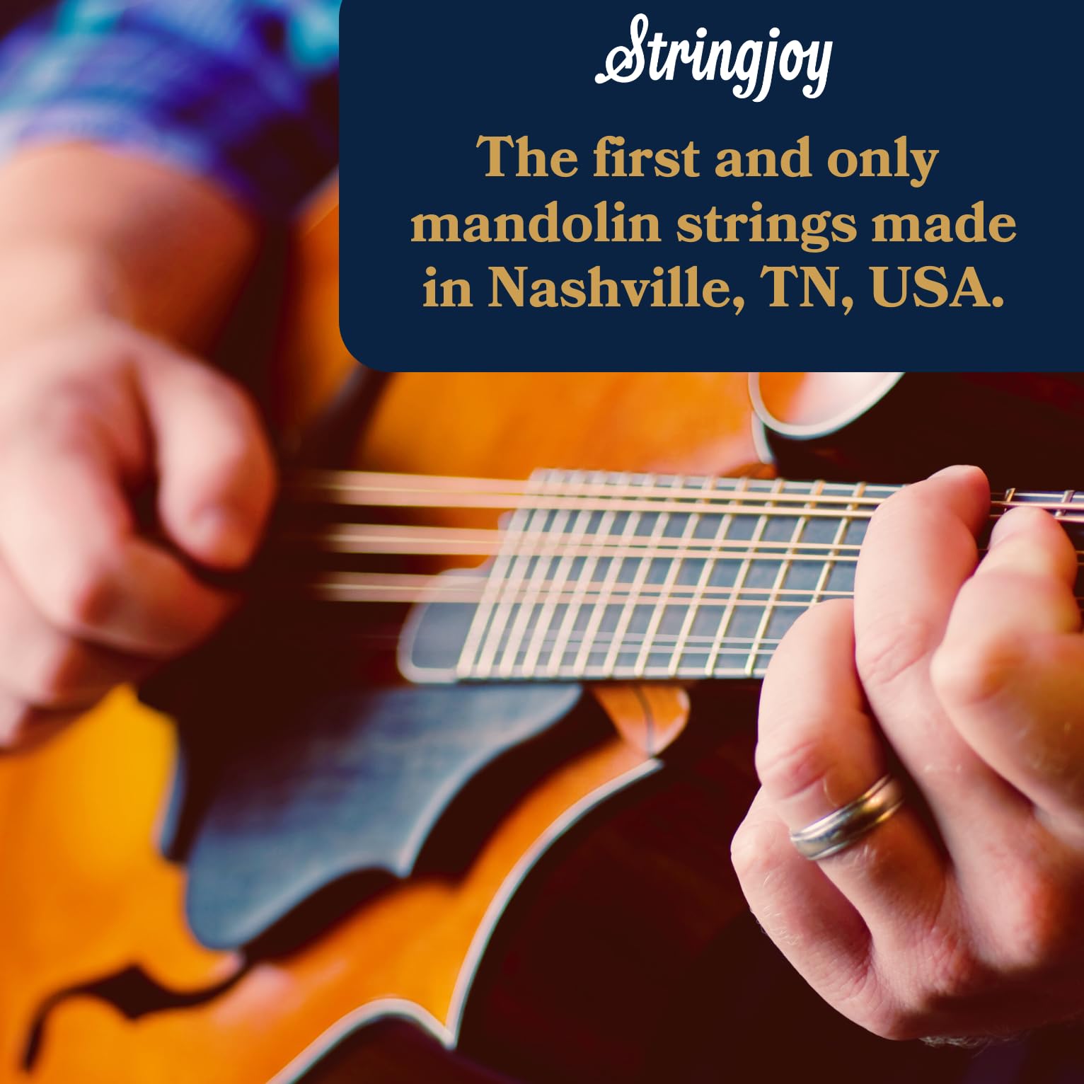 Stringjoy NB1140 Naturals Phosphor Bronze Mandolin Strings, (Medium Gauge - 11-40)