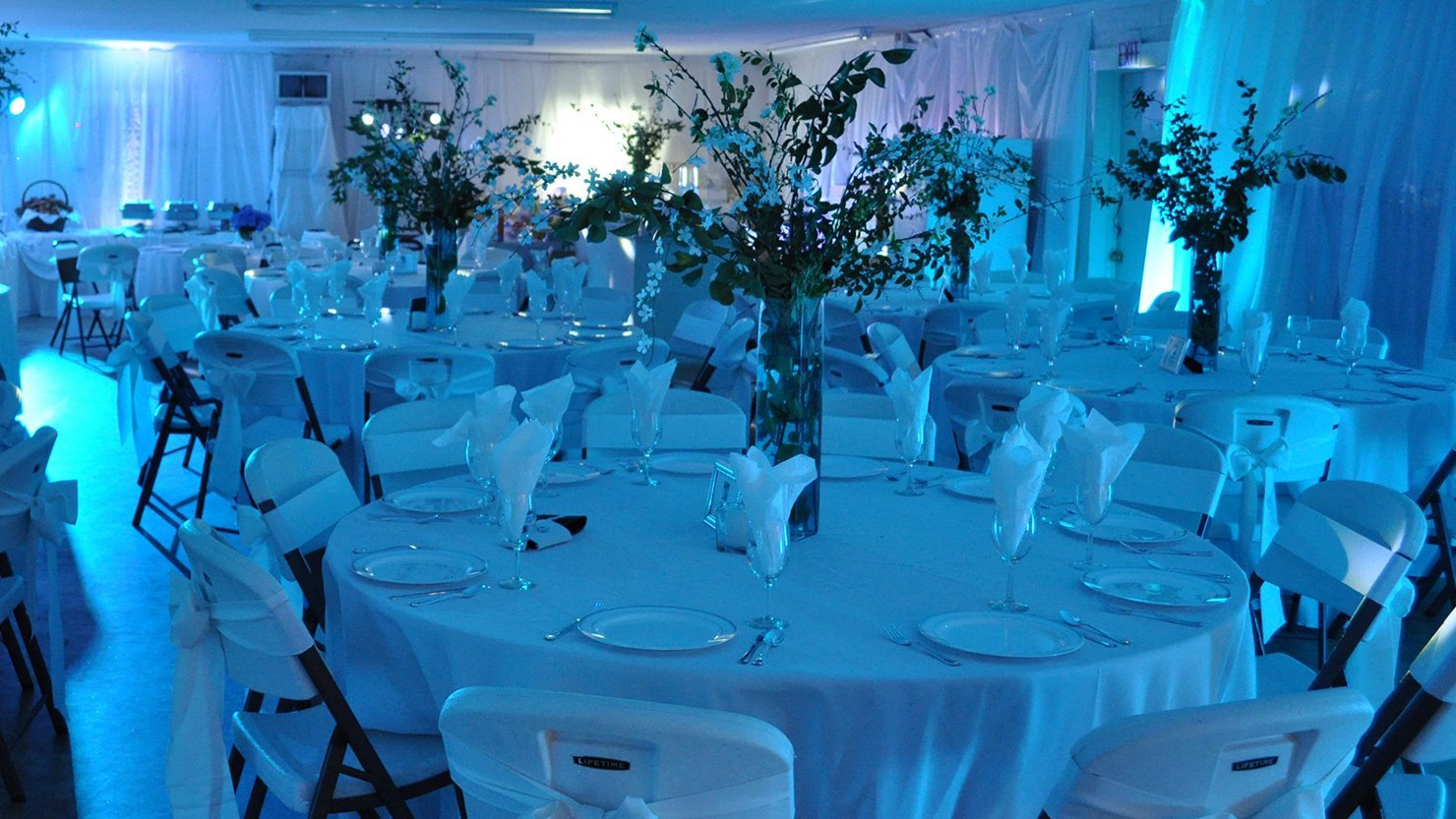 CHAUVET DJ SlimPAR 56 LED PAR Can Wash Light w/Built-In and Sound Activated Modes , Black