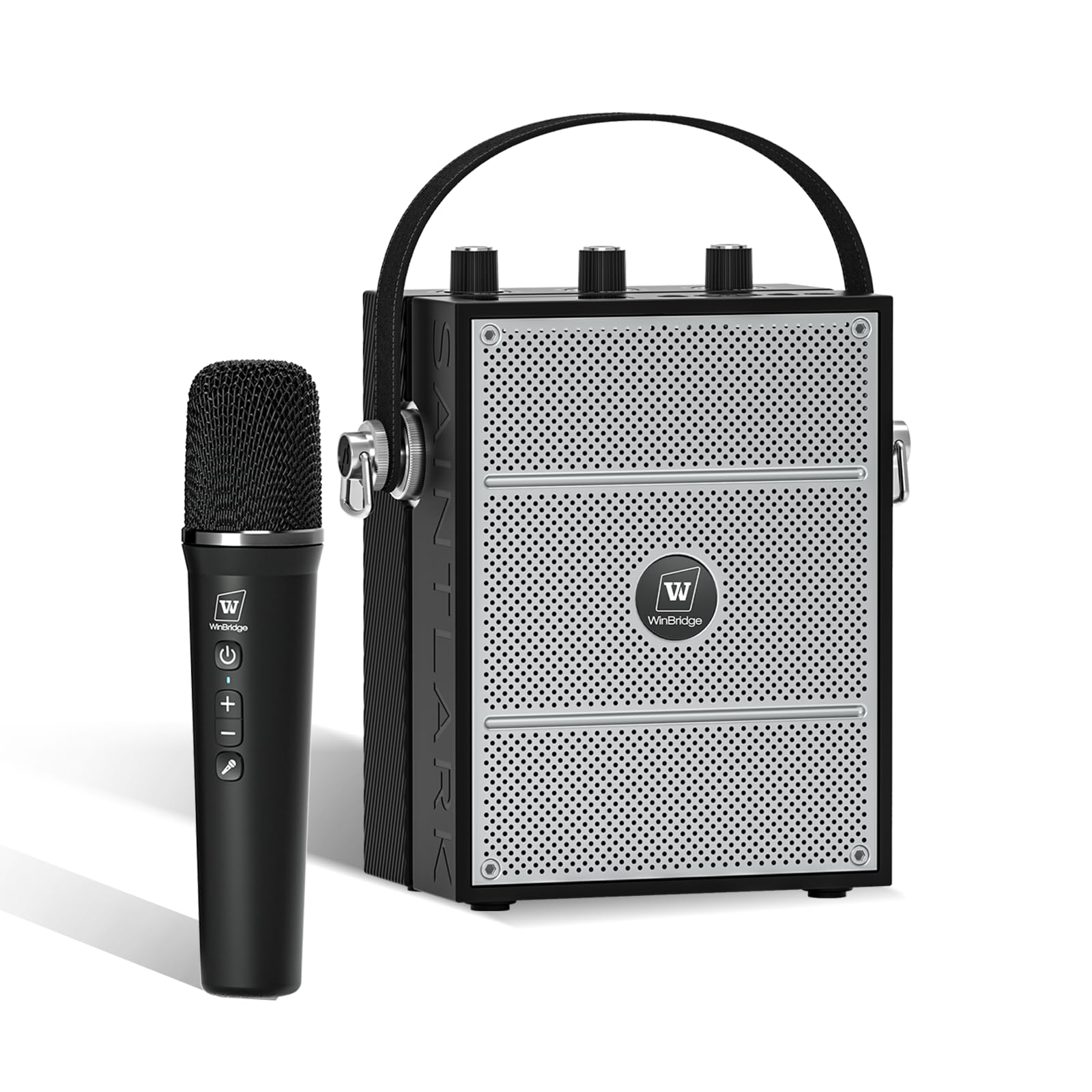 Wireless Voice Amplifier with Handheld Microphone, Portable Bluetooth Speaker Microphones for Teachers & Events, Wireless Karaok
