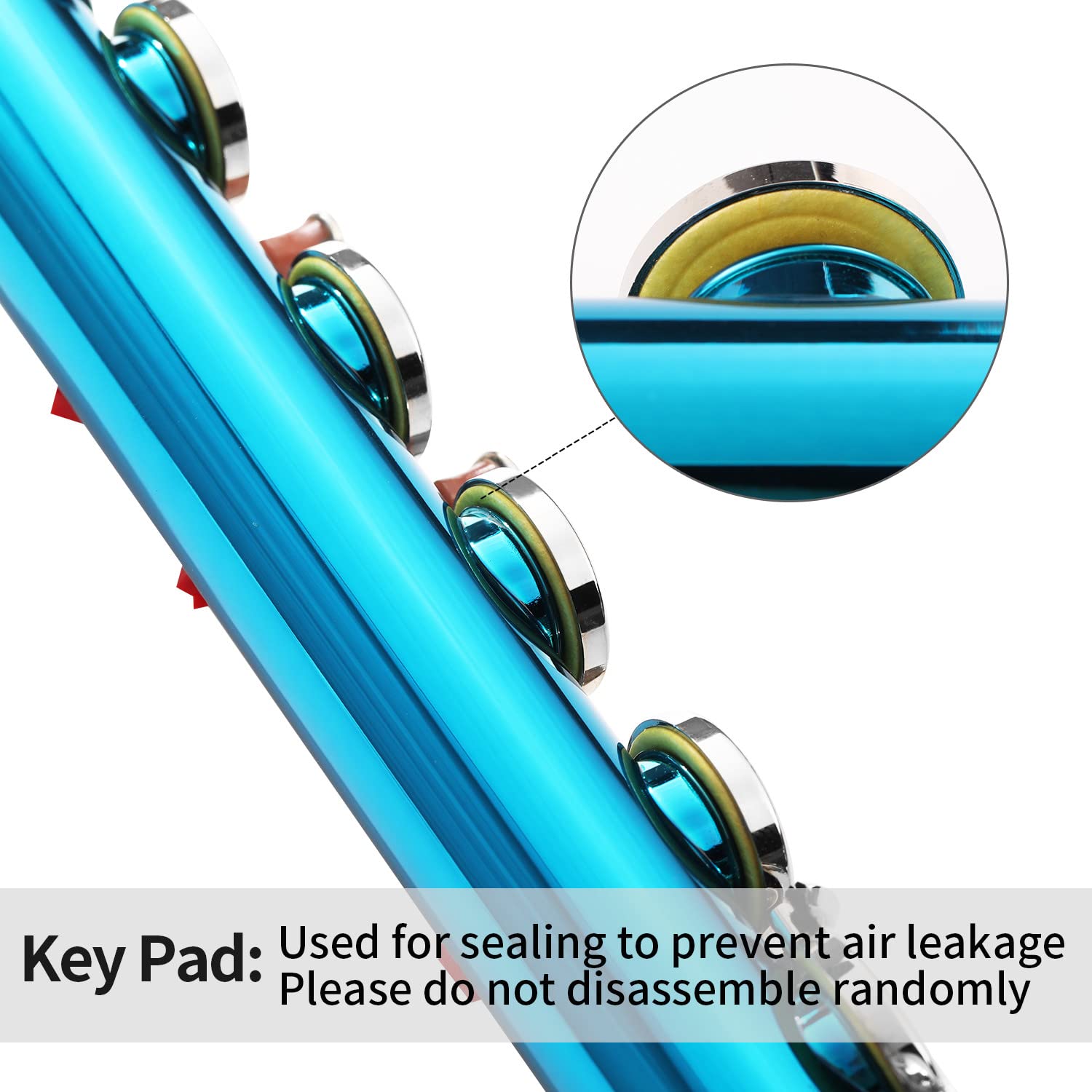 LeSage Closed Hole C Flutes 16 Key Blue Flute for Beginner Starter Student with Flute Case Maintenance Kit Cleaning Cloth Flute