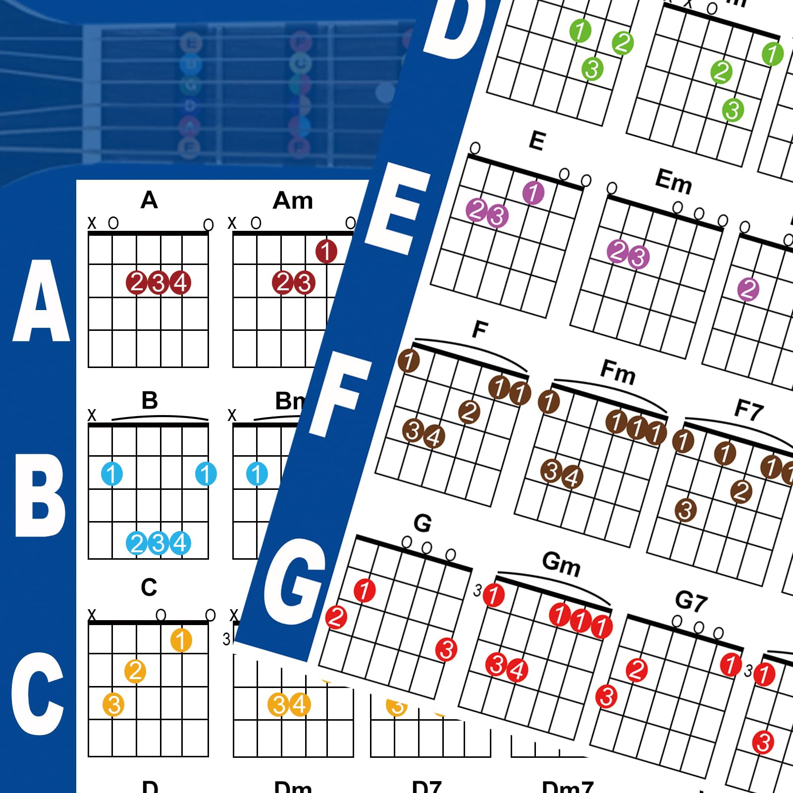Jinlop Guitar Chords Poster Chart and Circle of Fifths Chart (Waterproof, Oil- and Scratch-Resistant) for Beginner to Learn Harm