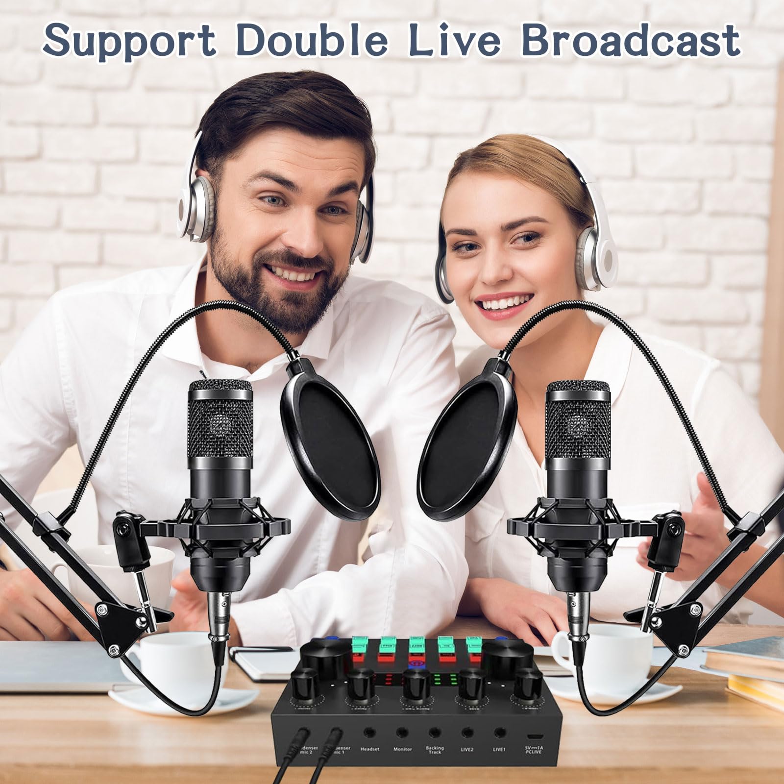 Podcast Equipment Bundle For 2, ALPOWL Audio Interface with Cardioid Designer BM800 Mic for Gamer and All-In-One DJ Mixer, perfe
