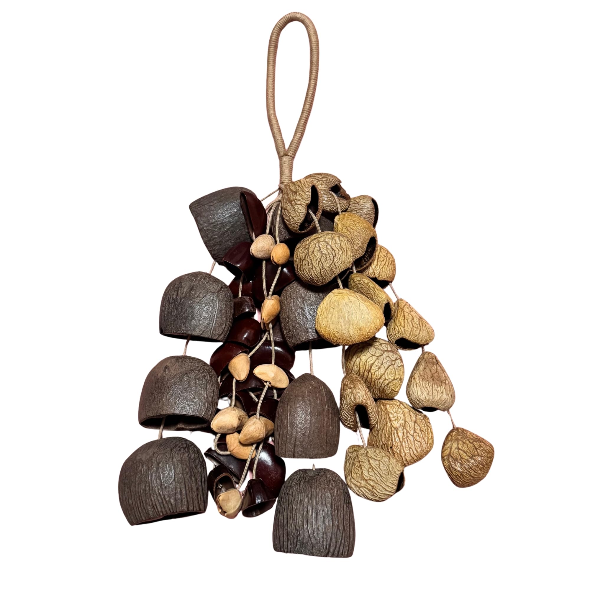 Seed Shell Hand Rattle 4 Kinds of 53 Pure Natural Nut Shells Sound Healing Instruments for Sound Healing and Mindfulness Meditat