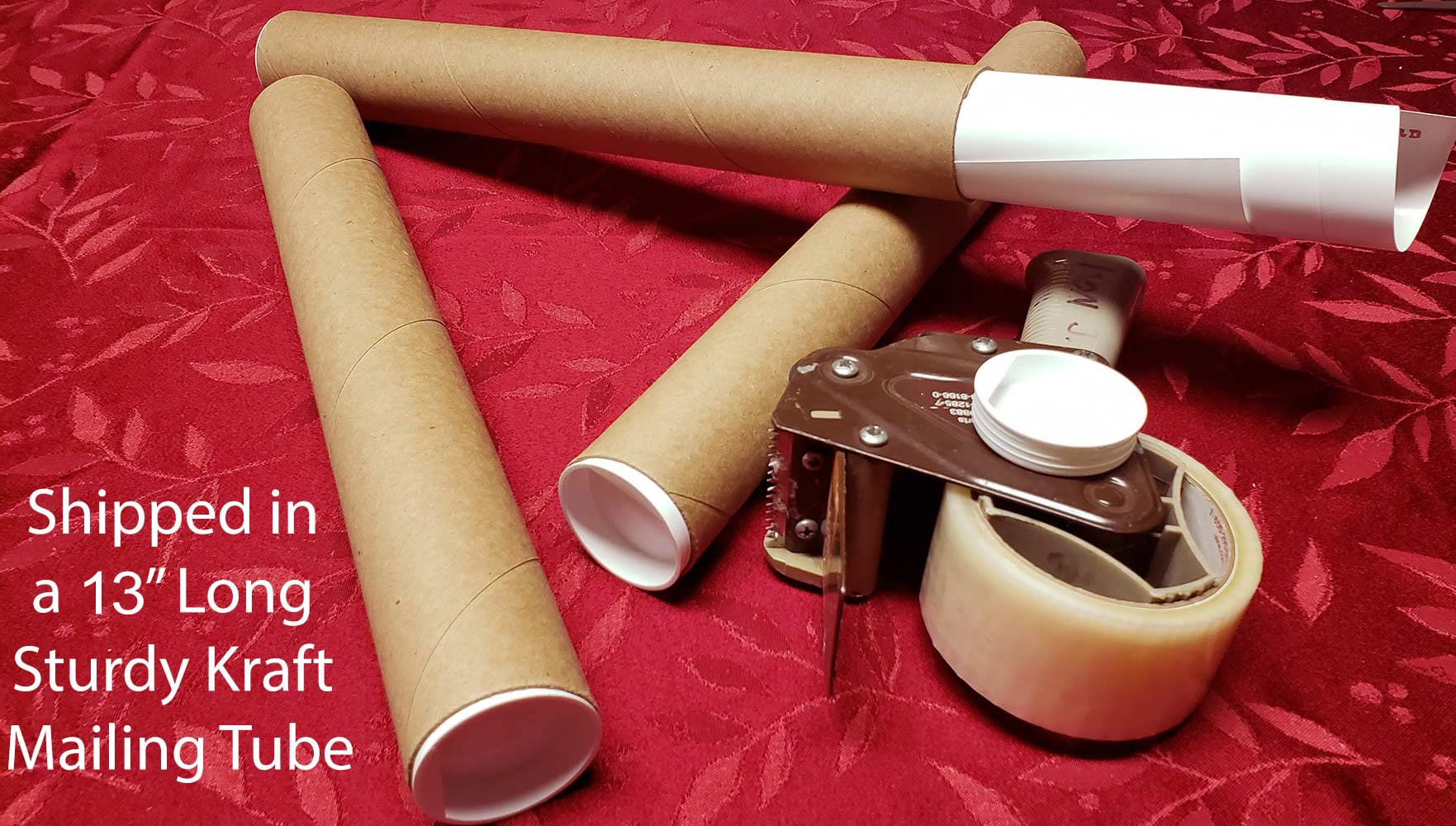 A New Song Music 5 String Bass Fretboard Poster - Nashville Numbering System, Circle of 5ths, Notes Instructional Chart 11x17