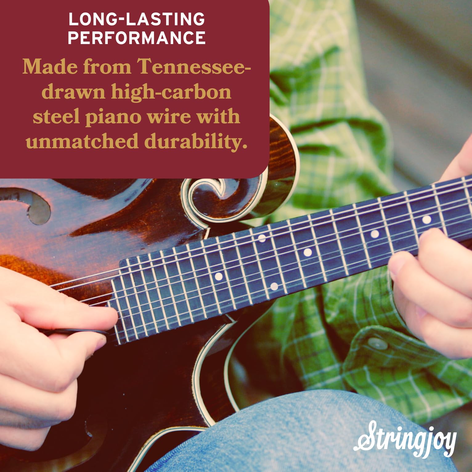 Stringjoy NB1140 Naturals Phosphor Bronze Mandolin Strings, (Medium Gauge - 11-40)