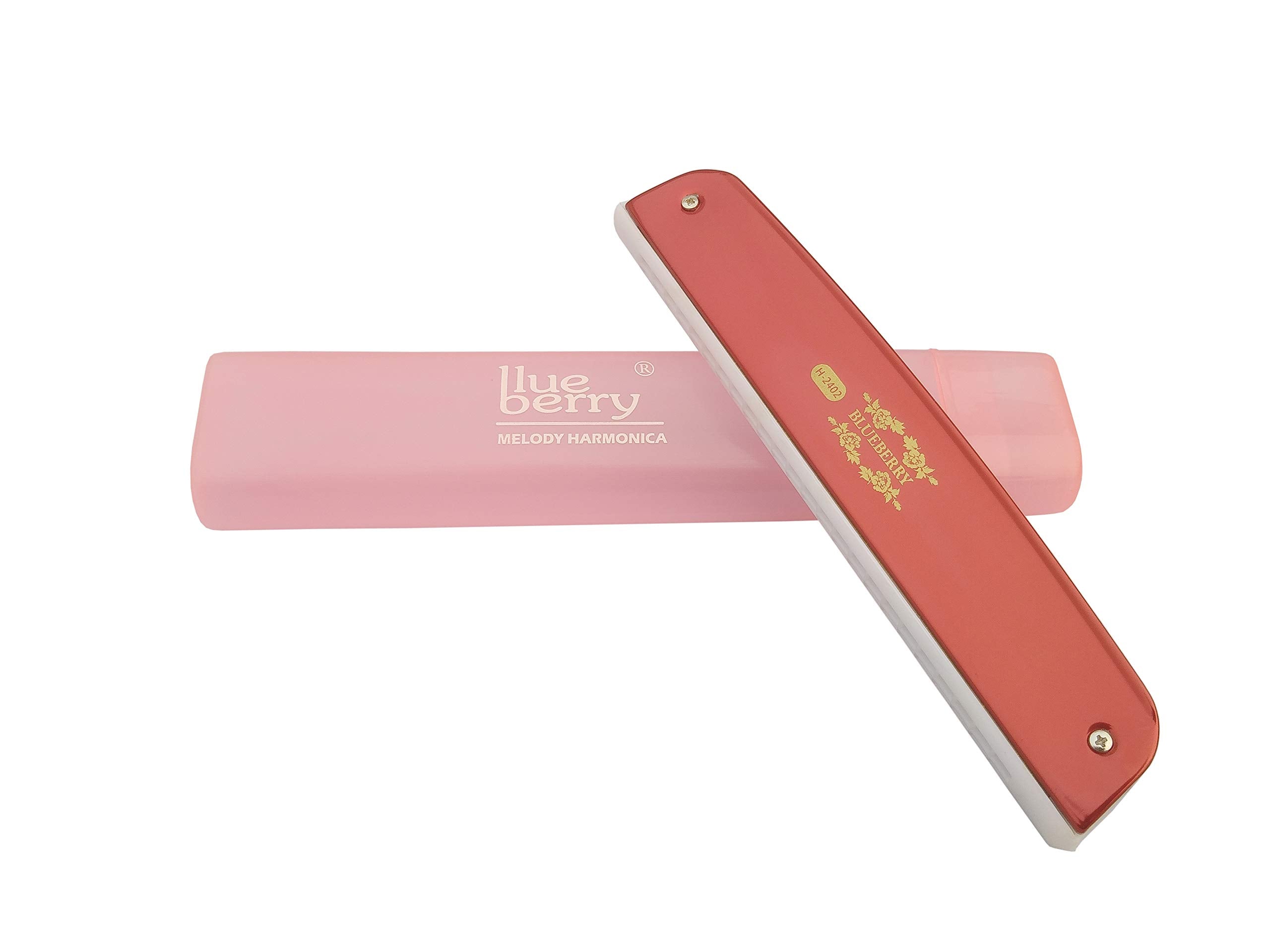 Blueberry H-2402 24 Holes 48 Tones Key C Mouth Organ With Case (Red)