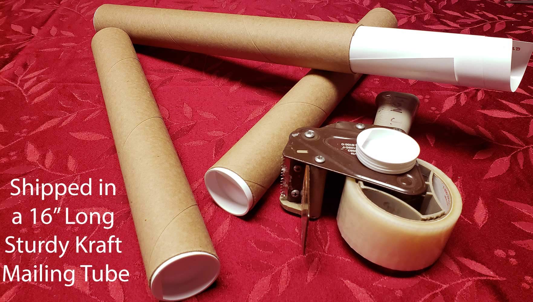 6 String Bass Fretboard Poster - Nashville Numbering System, Circle of 5ths, Notes Instructional Chart | A New Song Music | 11x1