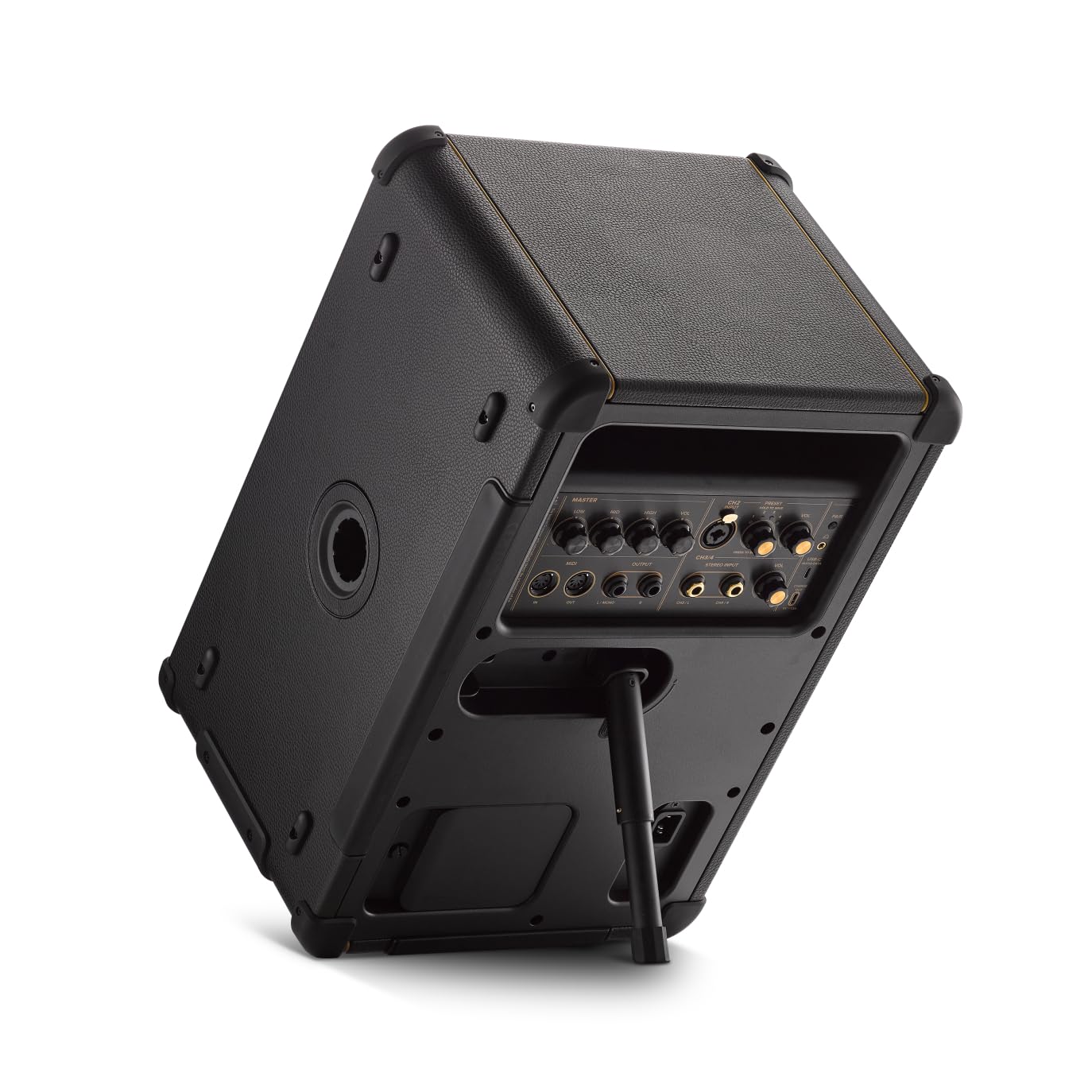 Positive Grid Spark Live Smart Guitar Amp, Multi-Channel PA System & Bluetooth Speaker All-in-One for Guitar, Bass, Vocals, Keyb