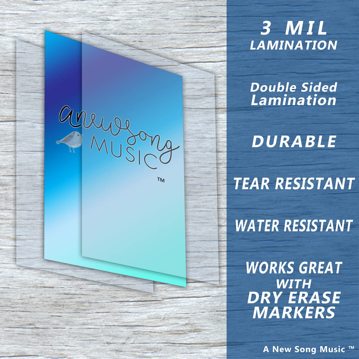 Laminated Guitar Americana Style Fretboard Notes & Easy Beginner Chord Chart Instructional Poster A New Song Music 11x17