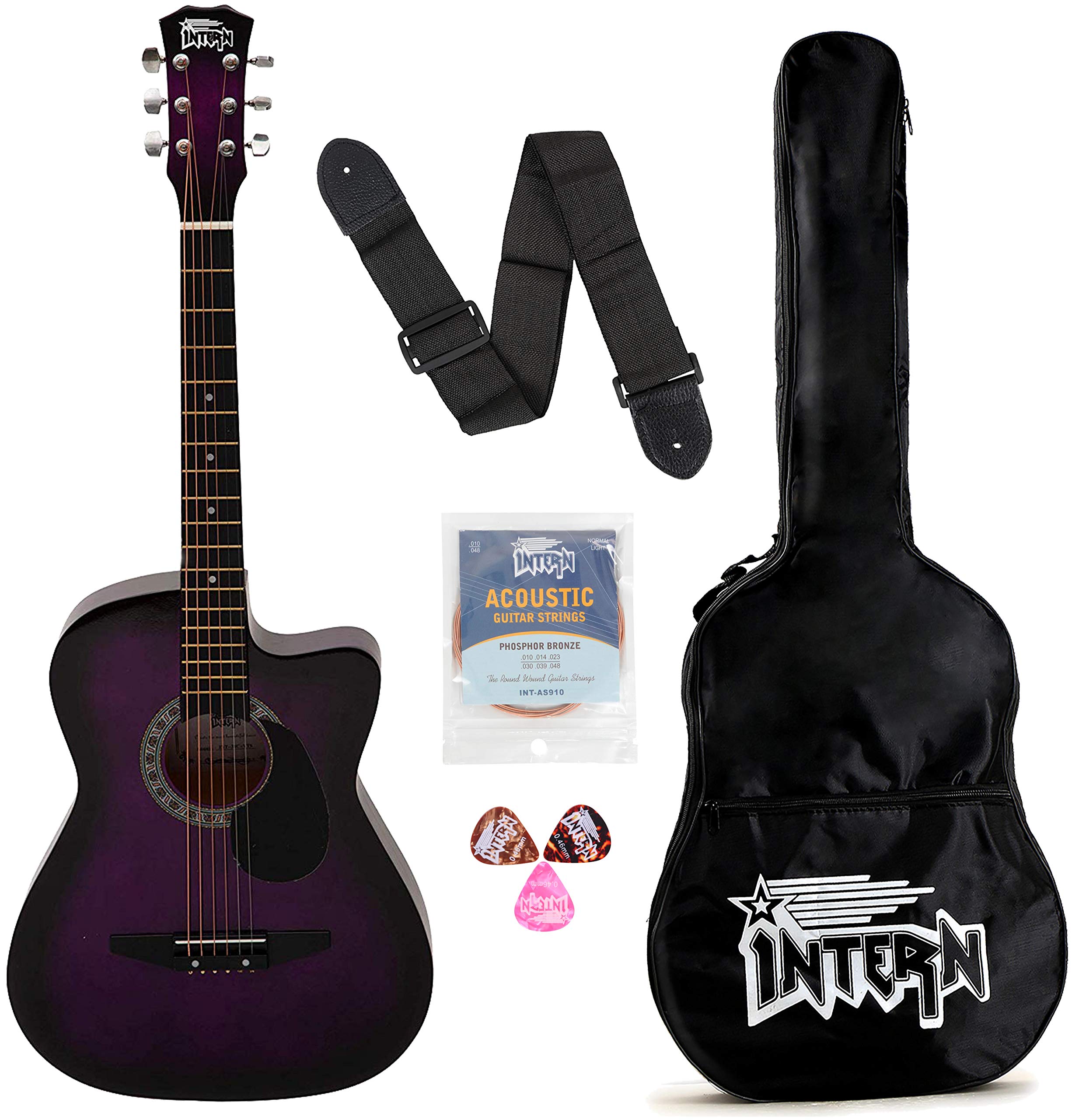 Intern INT-38C-VT-G 38 Incheses Cutaway Right HAnded lindenwood Acoustic Guitar Kit, With Bag, Strings, Pick And Strap (Violet, 