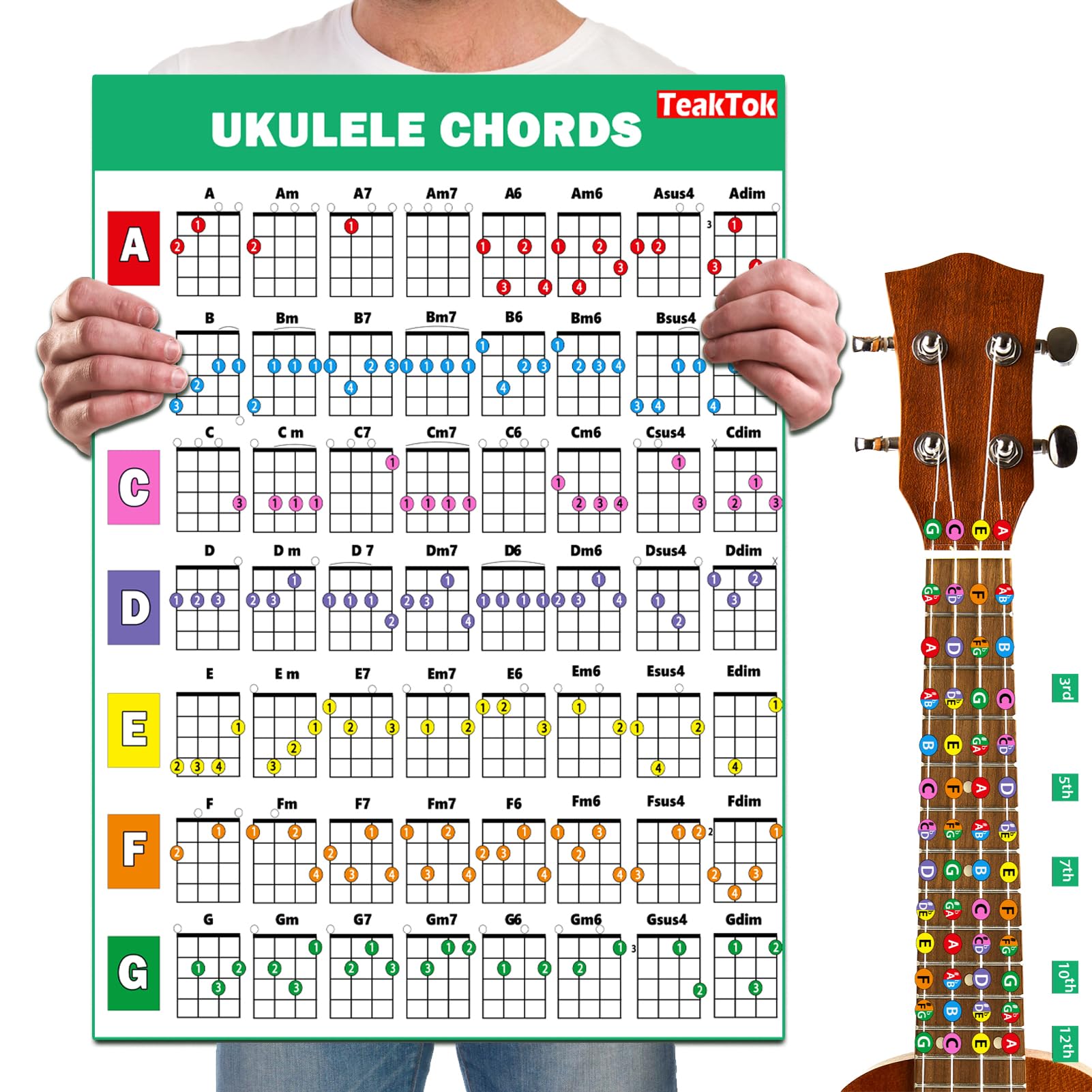 Teaktok Ukulele Chord Chart Poster For Beginner And Portable A4 Laminated Chords