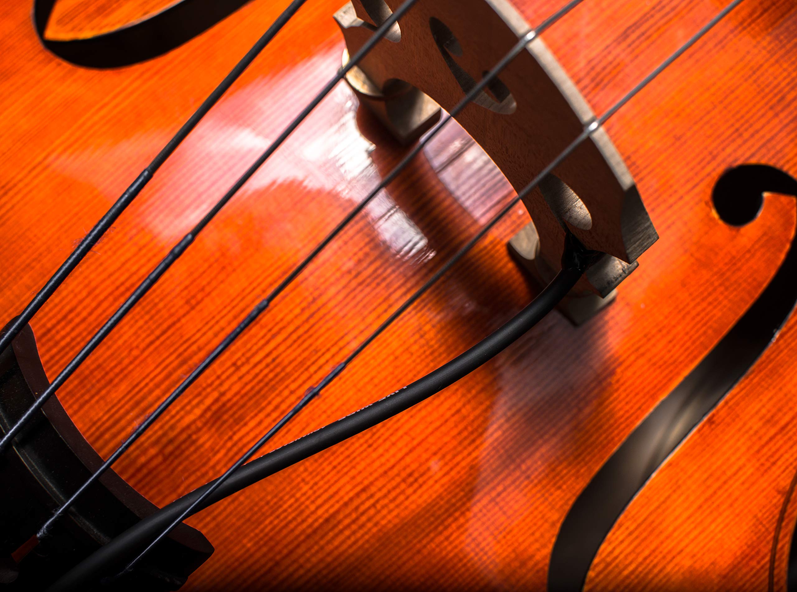 Northern Lutherie LLC - Blueberry Pi (Upright Bass Pickup) USA Made