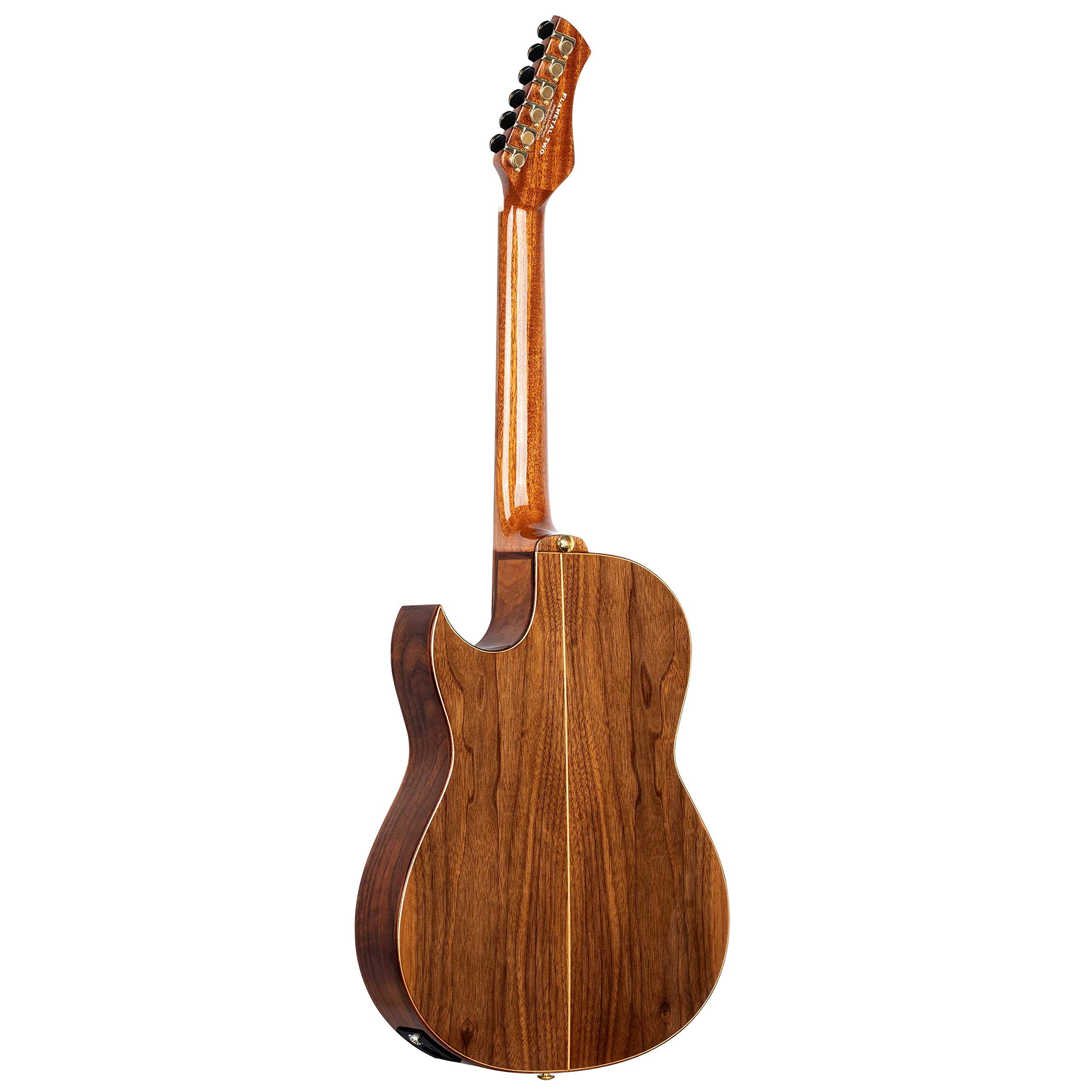 Ortega Guitars 6 String Signature Series Ben Woods Solid Top Thinline Crossover Acoustic-Electric Nylon Classical Guitar w/Bag,