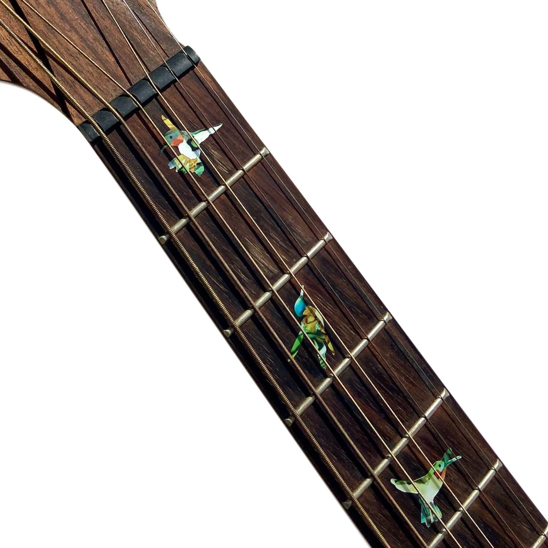 Bee Hummingbirds - Fret Markers Inlay Stickers Decals for Guitars