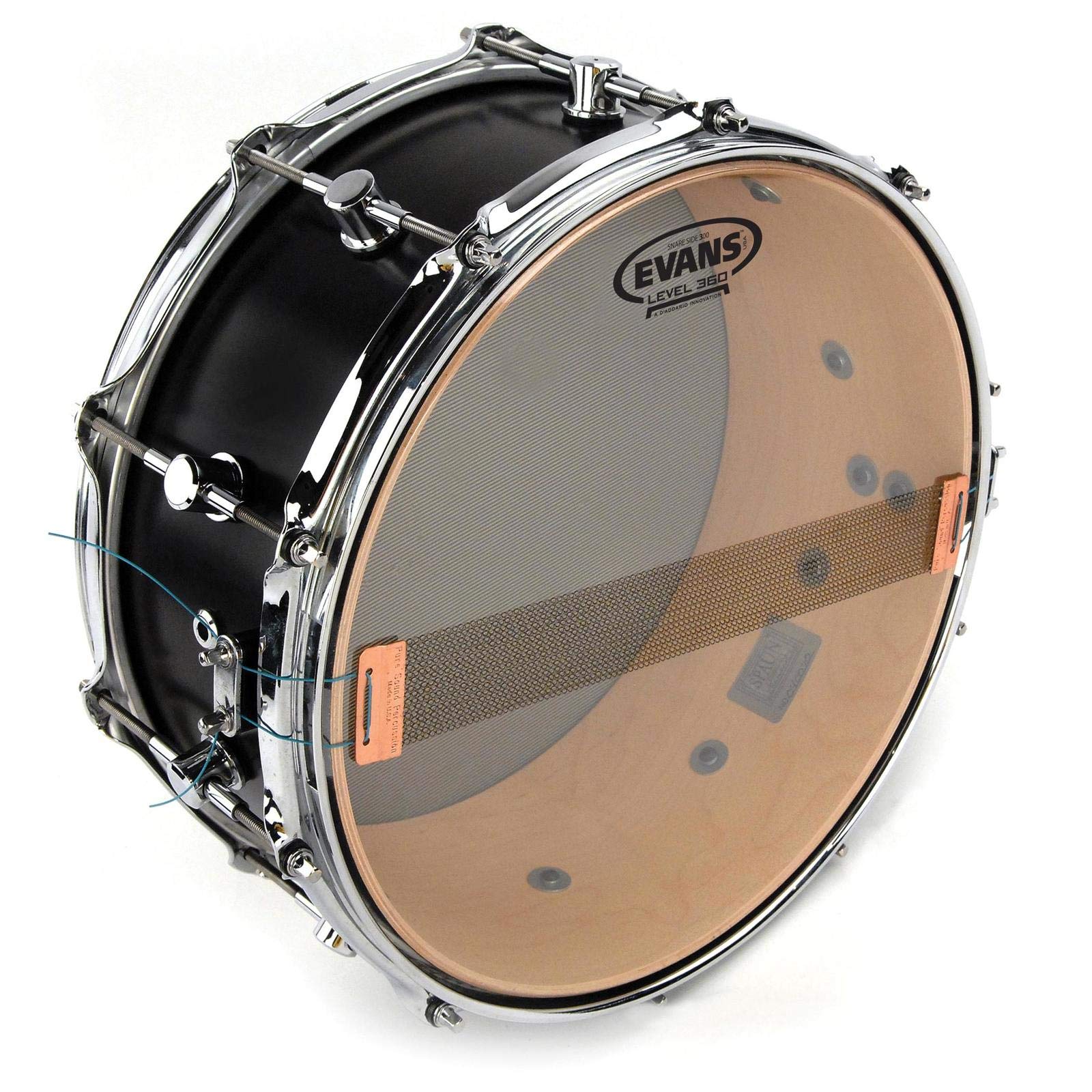 Evans Drumhead (S08H30)