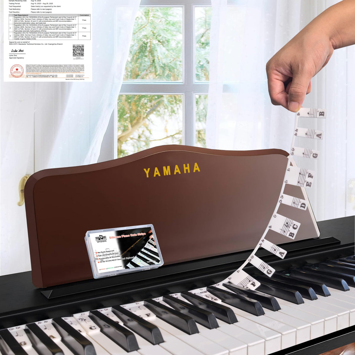 Piano Notes Guide for Beginner, Removable Piano Keyboard Note Labels f ...