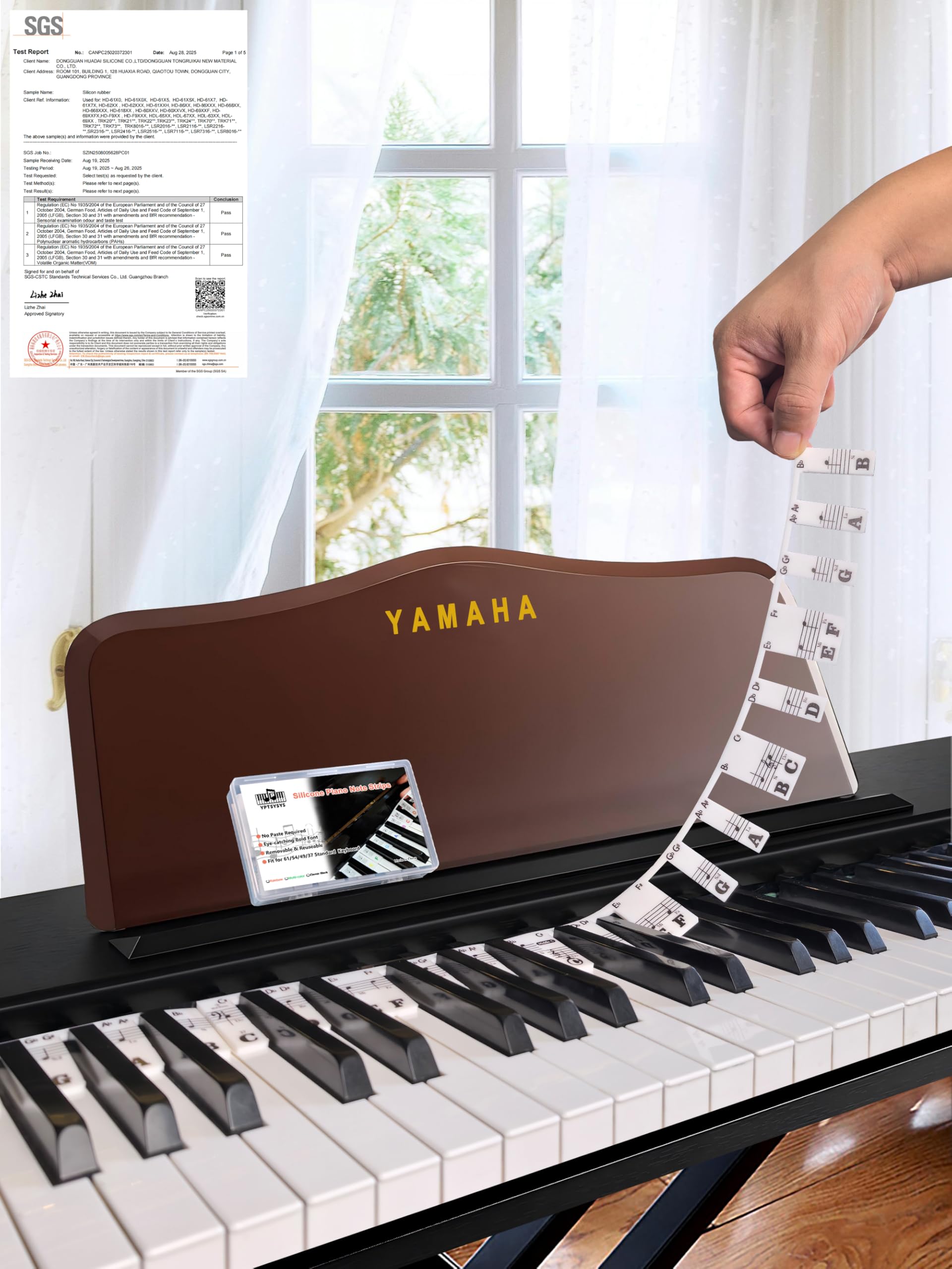 Piano Notes Guide for Beginner, Removable Piano Keyboard Note Labels for Learning, 61-Key Standard Full-Size, Made of Silicone R