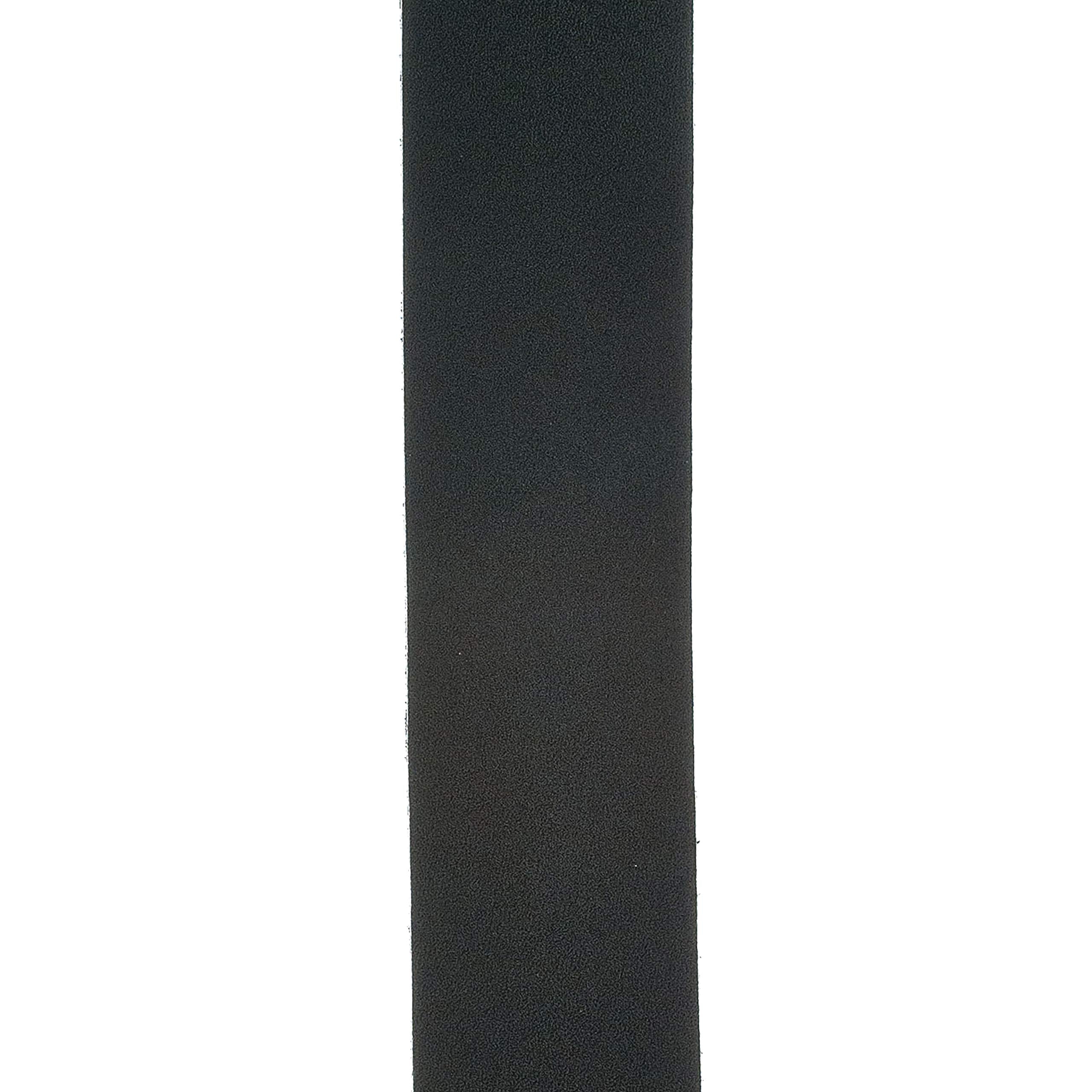 D'Addario 2.5 Basic Lth Black (25BL00)