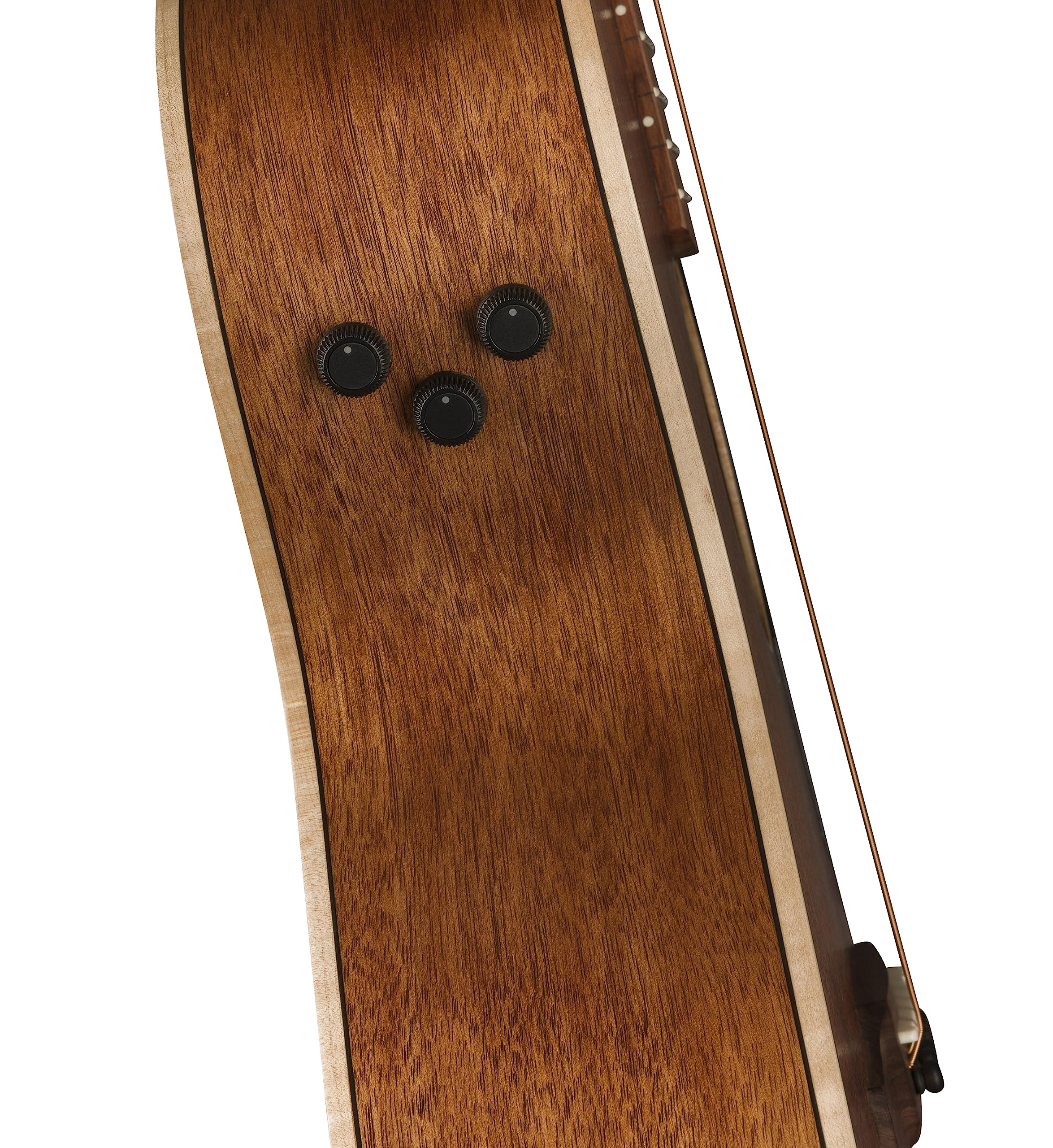 Newporter Special, Pau Ferro Fingerboard, Black Pickguard, Natural