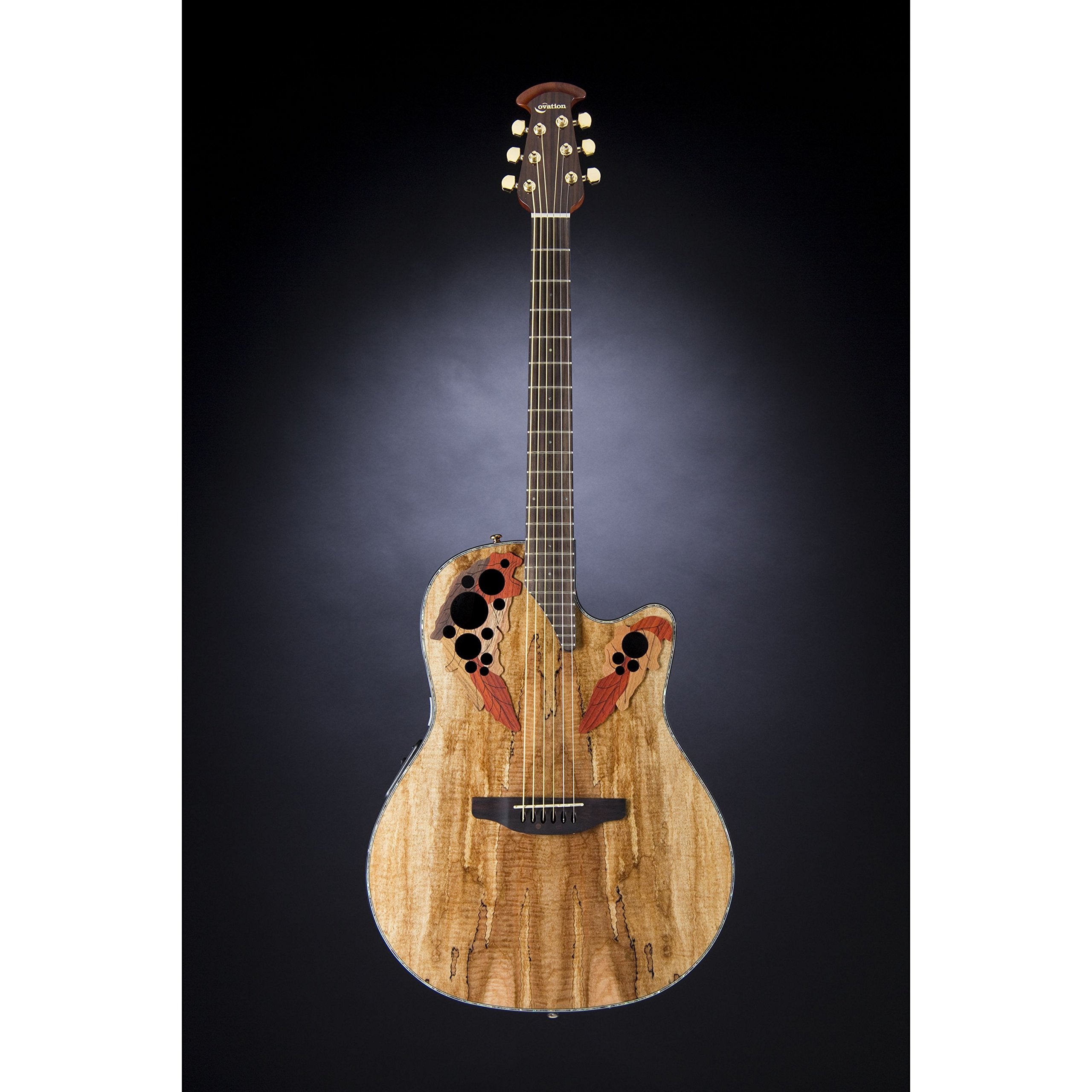 Ovation CE44P-SM Acoustic-Electric Guitar, Spalted Maple