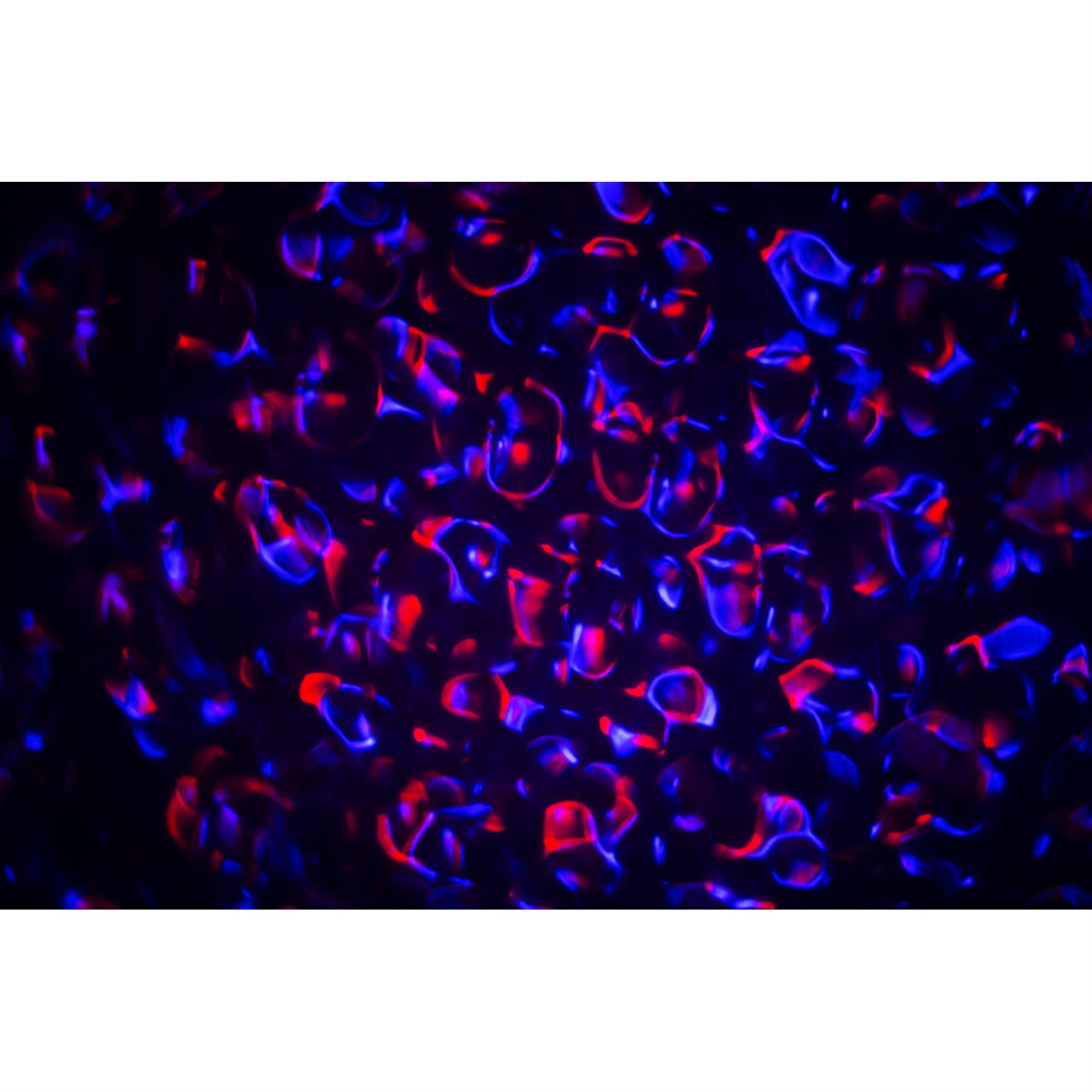 Moving LED Light with Jellyfish Effect