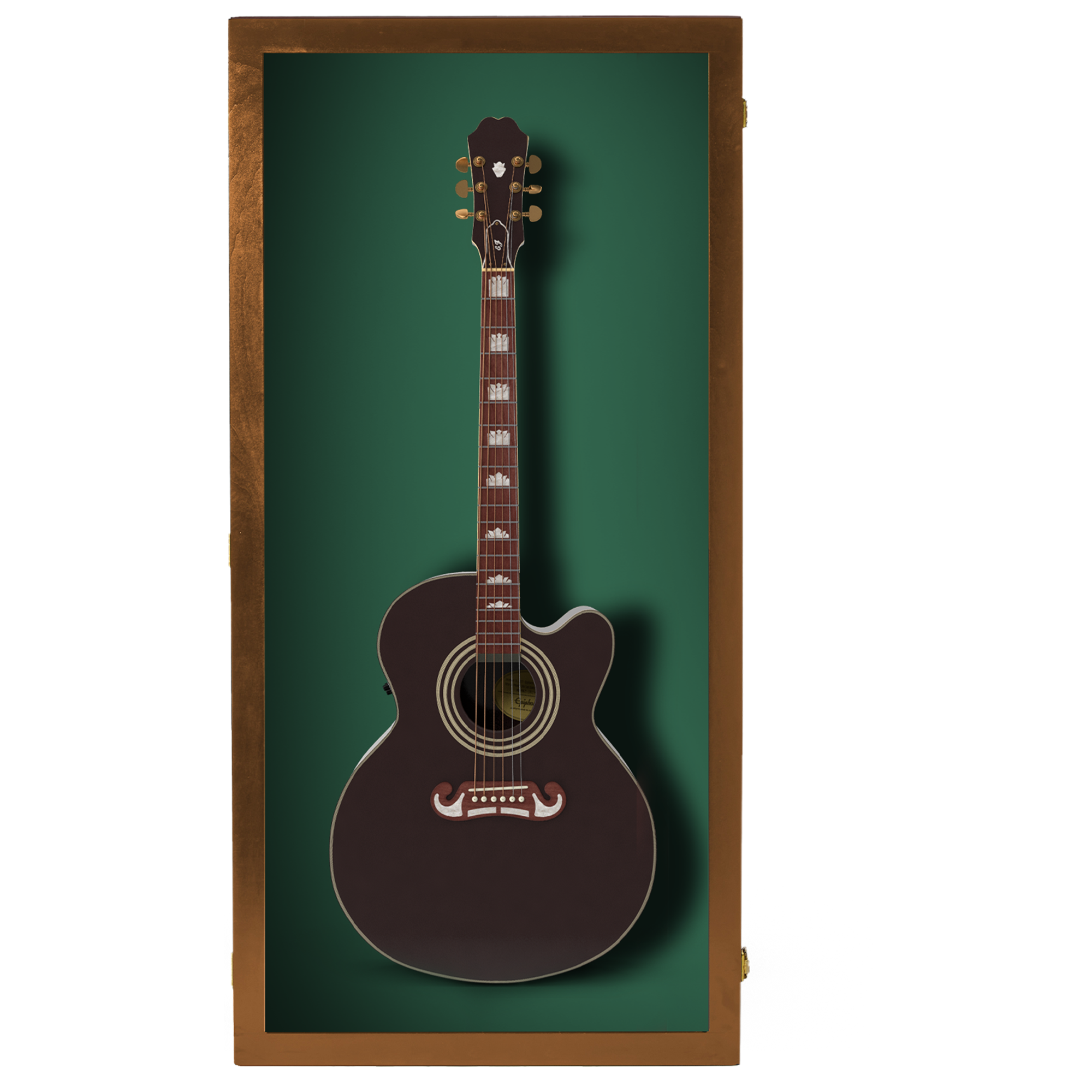 Extra Large Acoustic Guitar Case