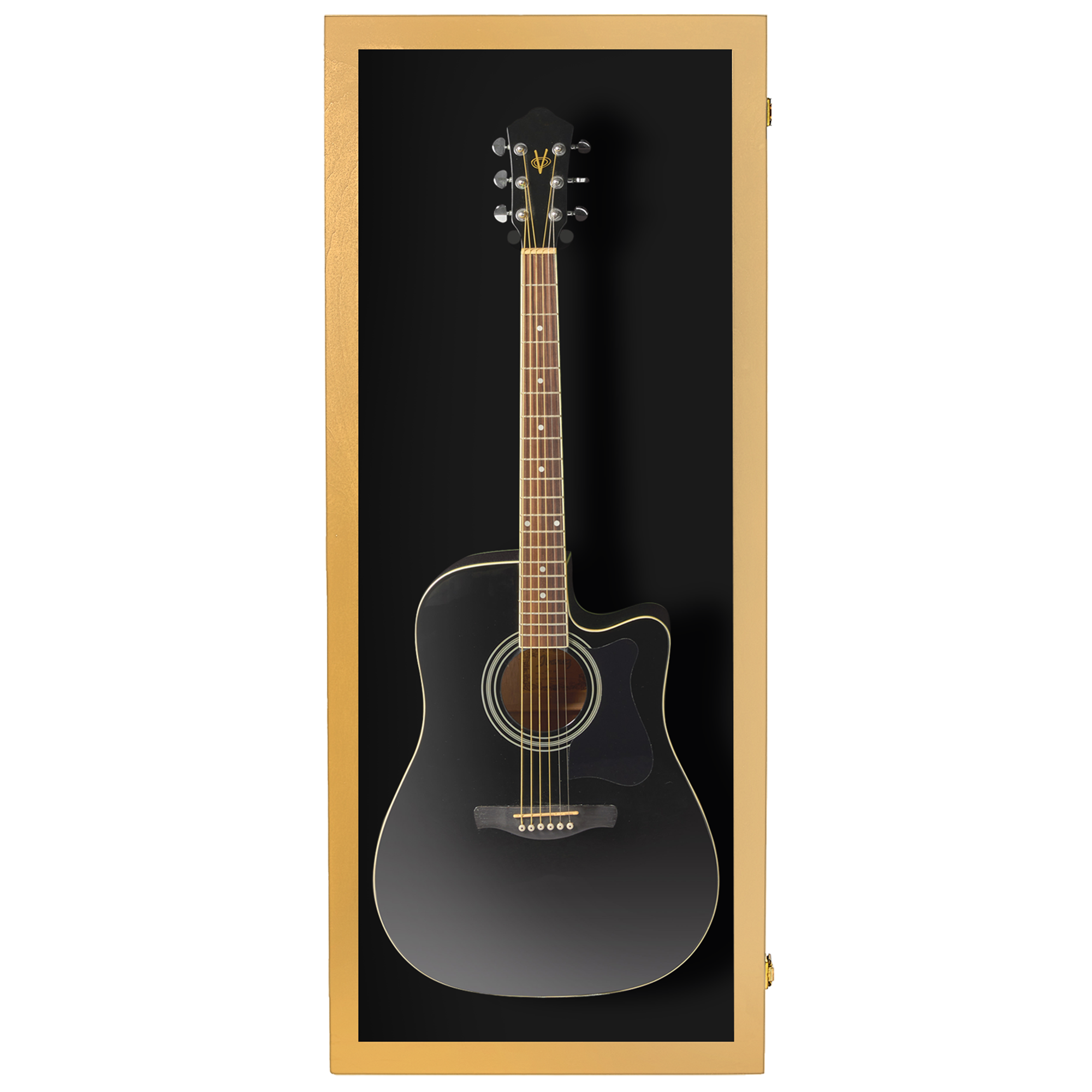 Acoustic Guitar Display Case