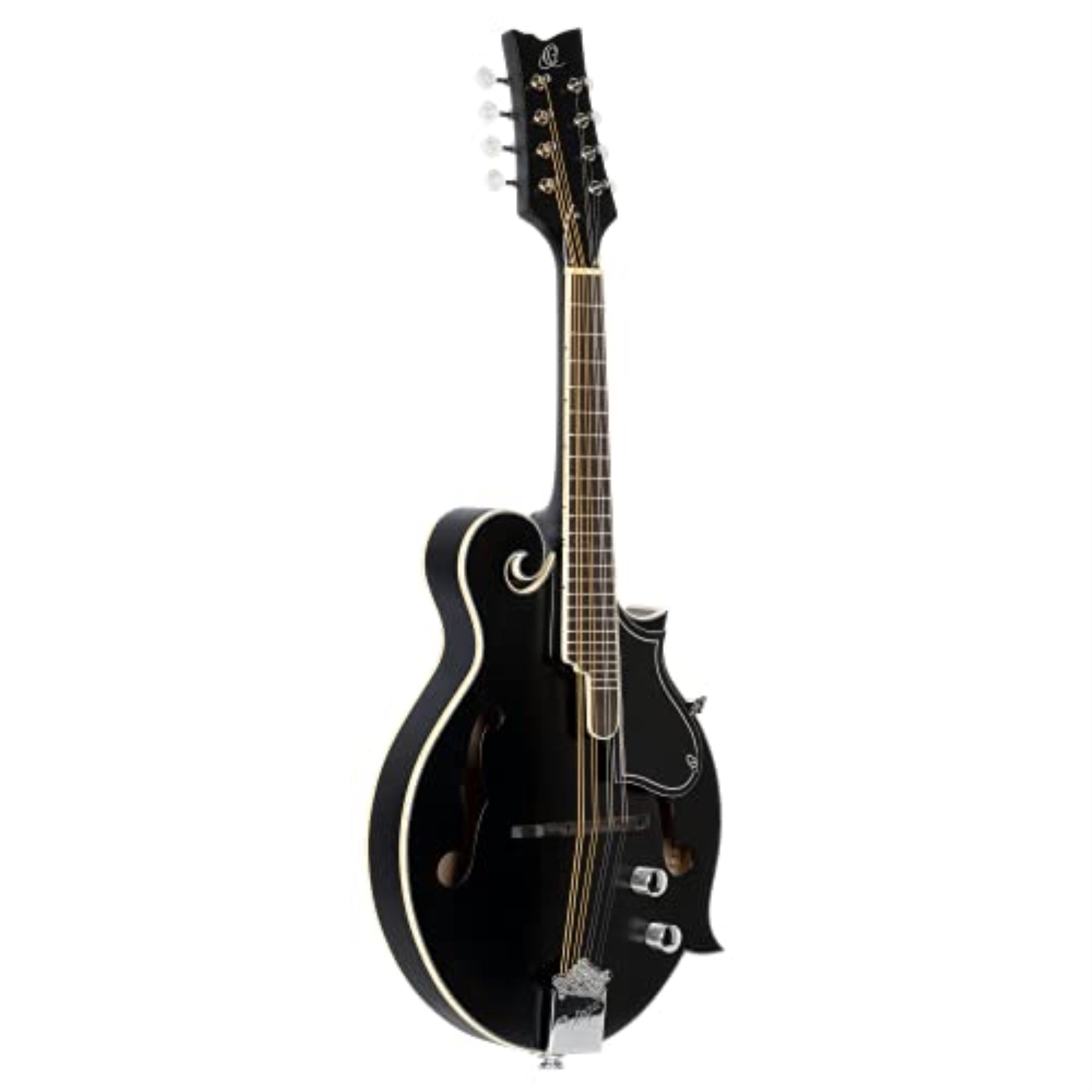 F-Style Series Acoustic-Electric Mandolin with Bag