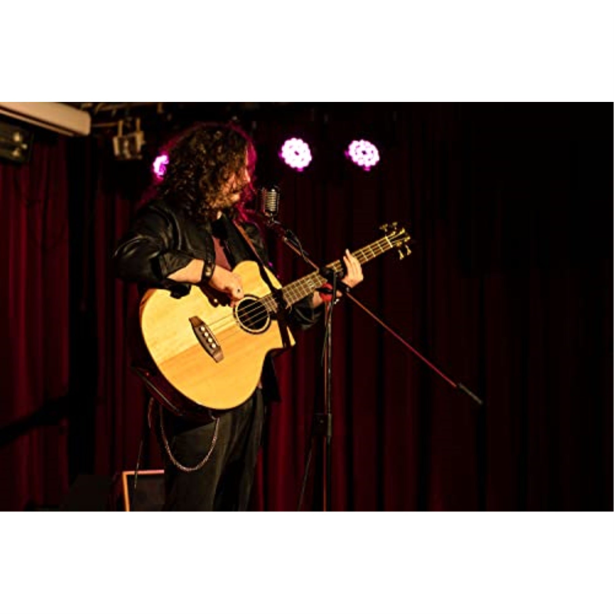 Private Room Striped Ebony Suite with Arm Rest Solid Top Acoustic-Electric Bass with Bag